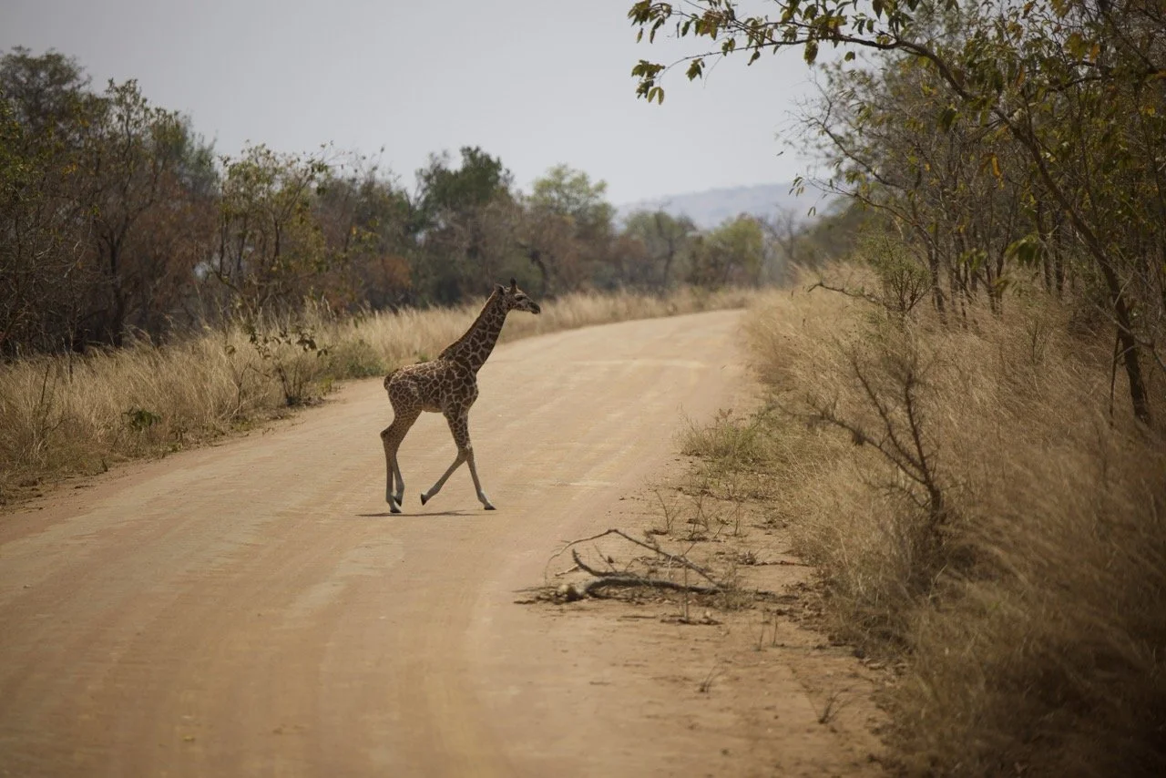 20250727)Interviews at church11280 Large.jpeg