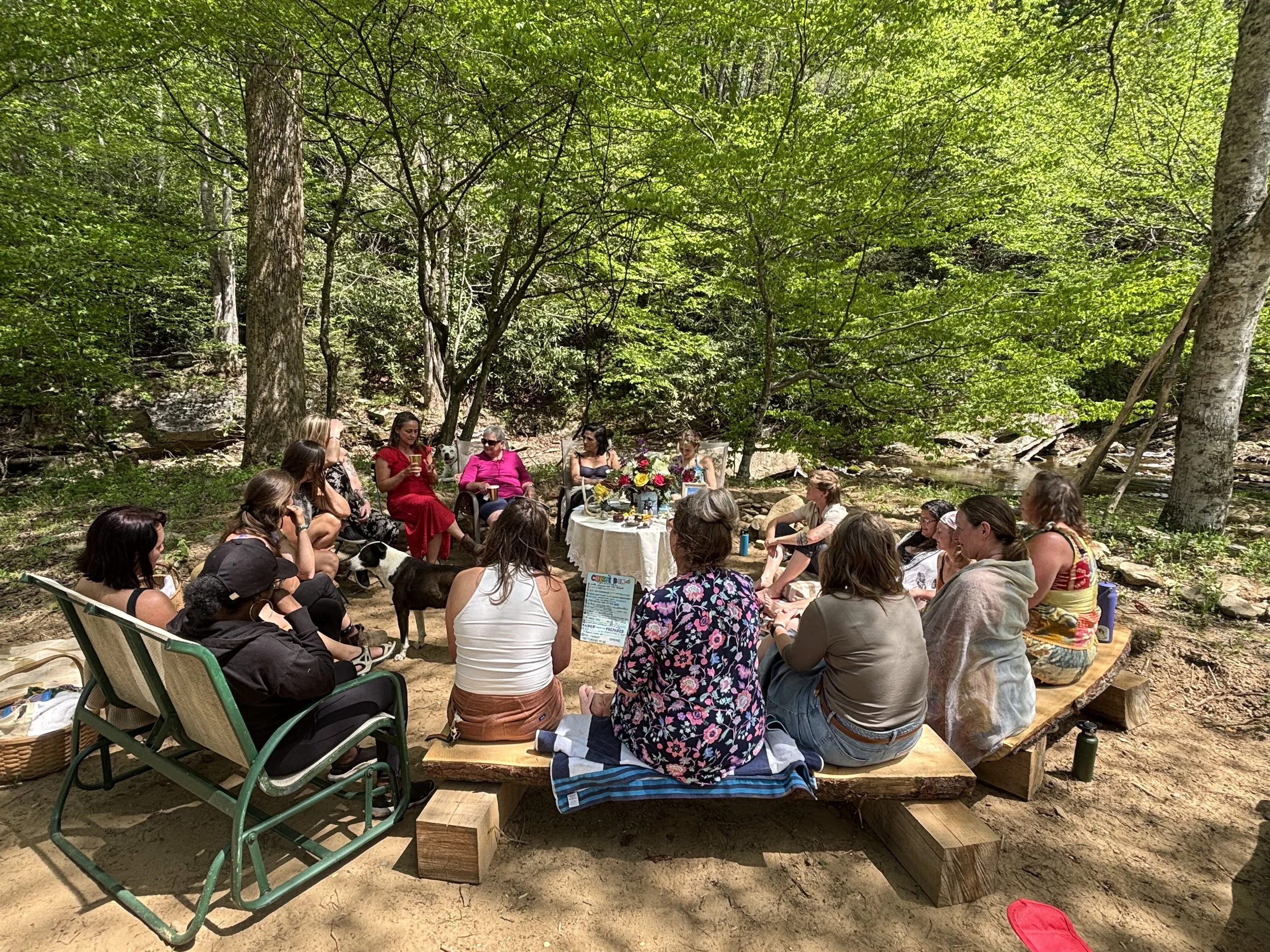 Data Proves Ecotherapy Workshops Provide Deep Healing