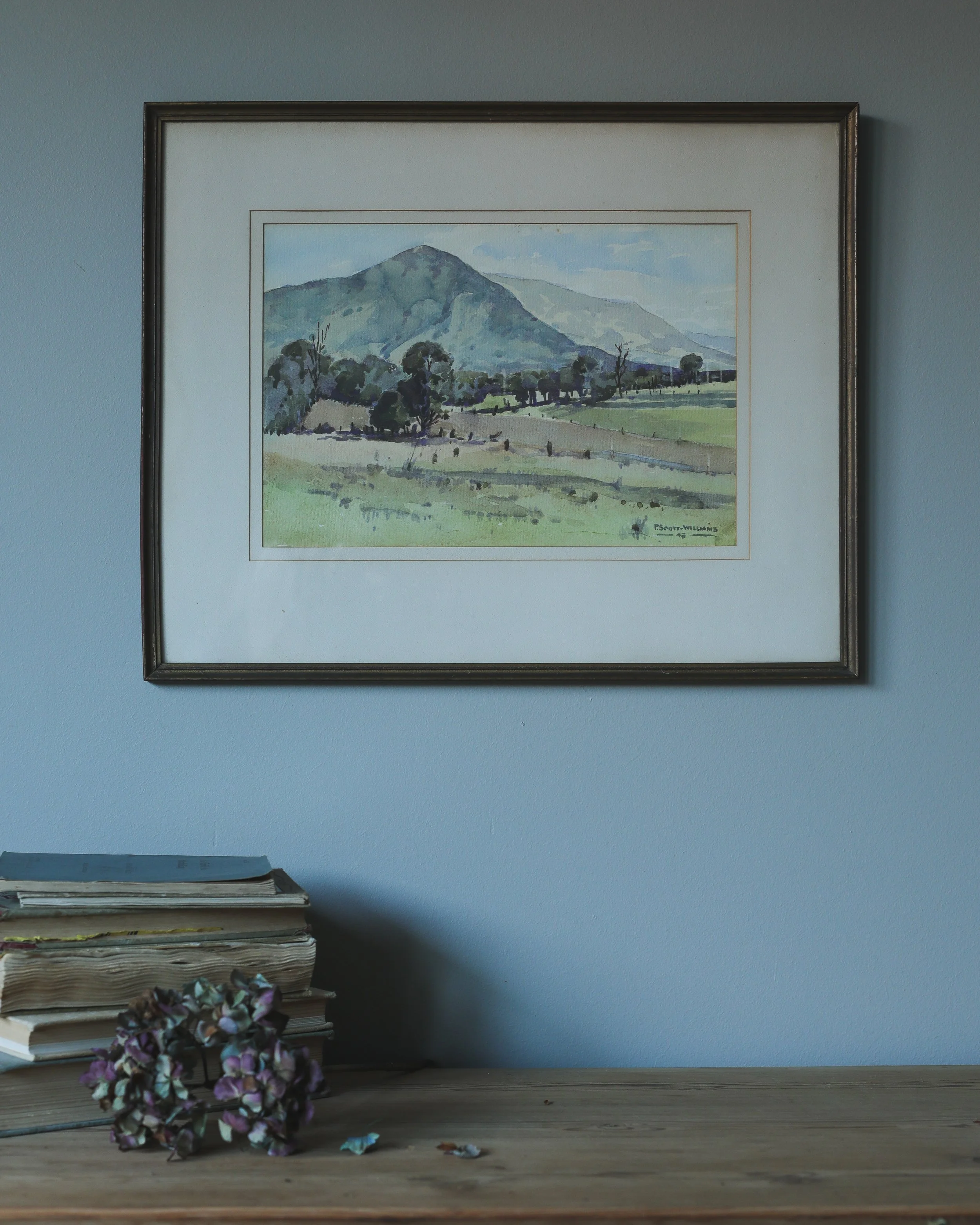 Mountain Foothills-2.jpg