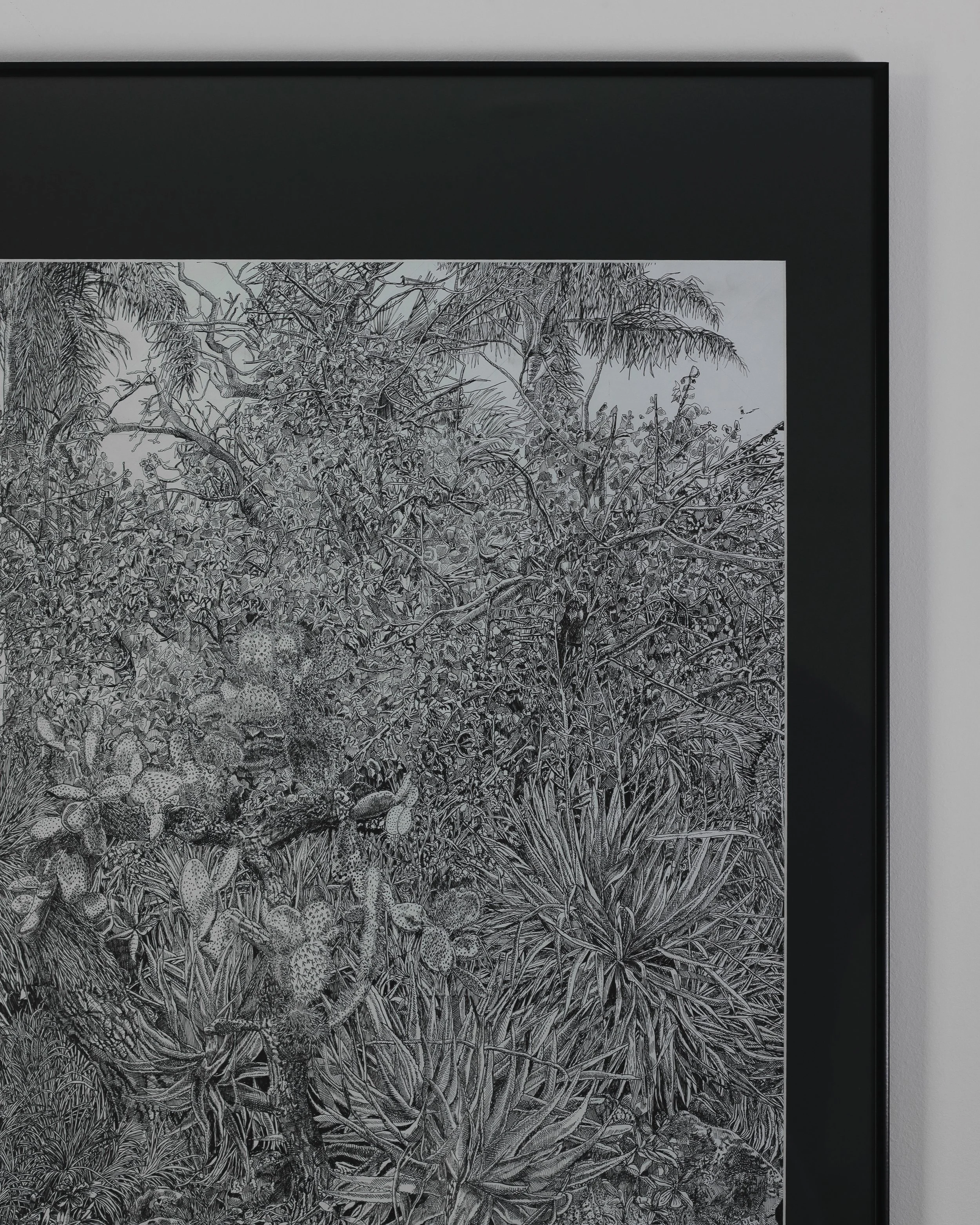 St Kilda Botanical Gardens-6.jpg