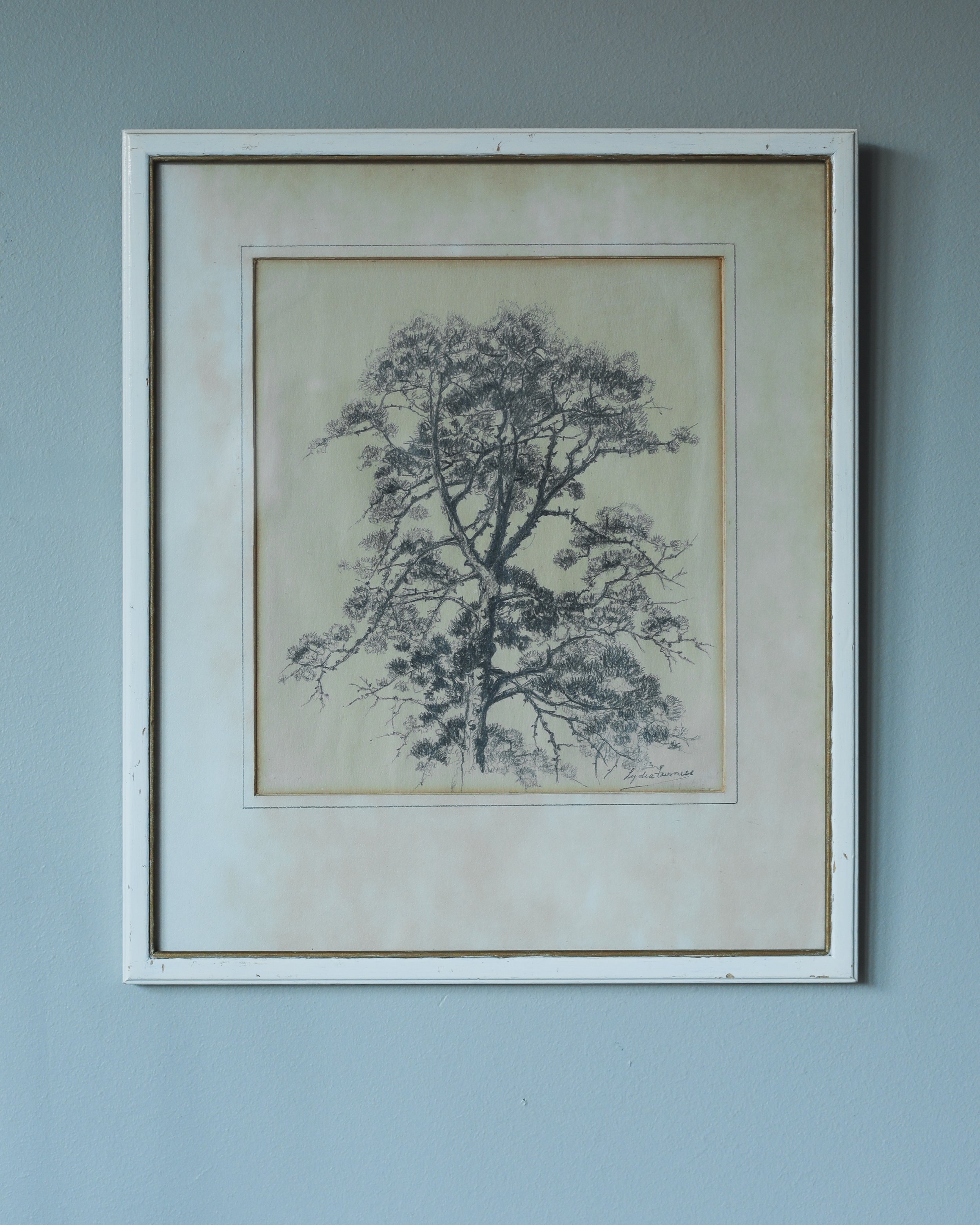 Pine Study