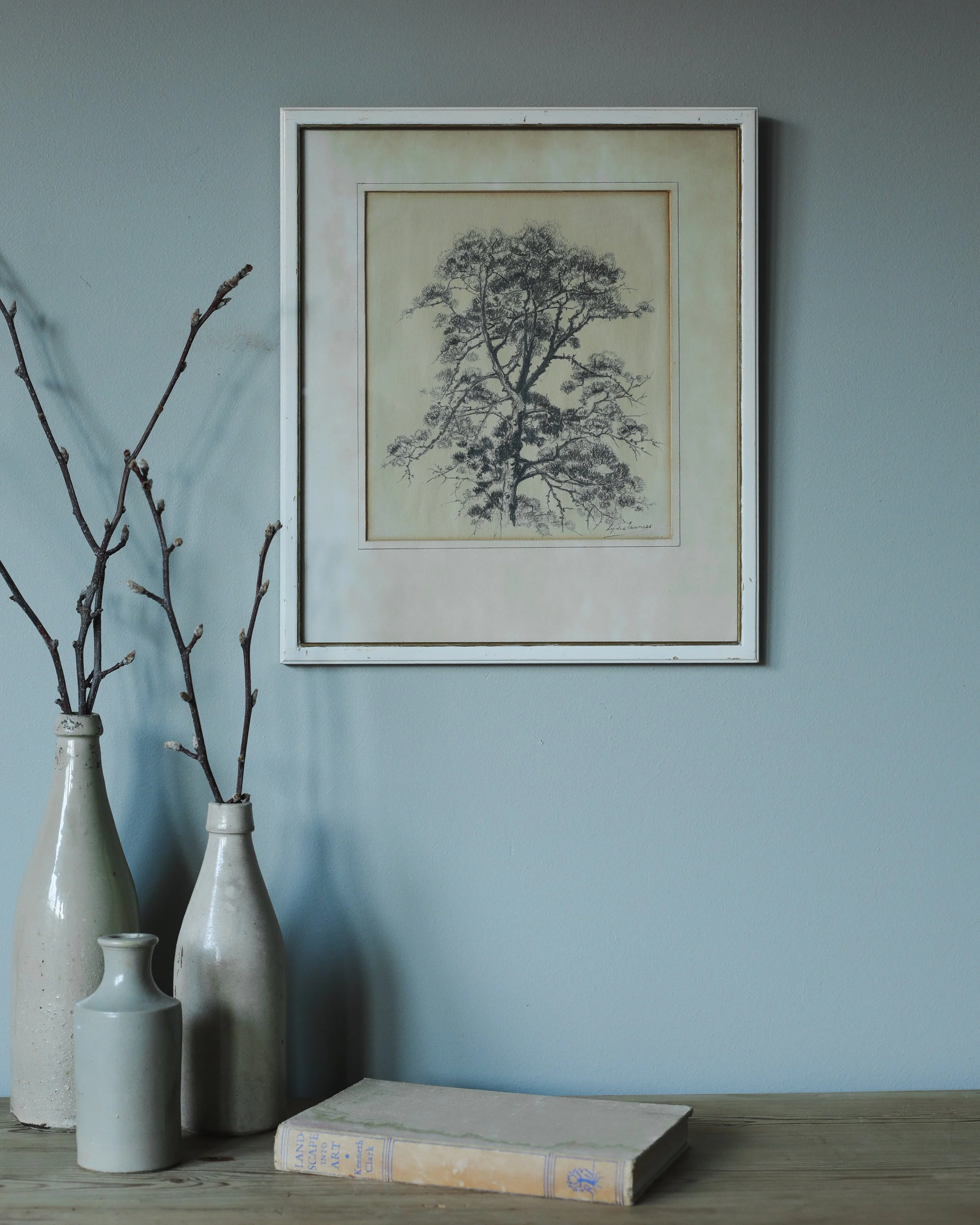 Pine Study.jpg