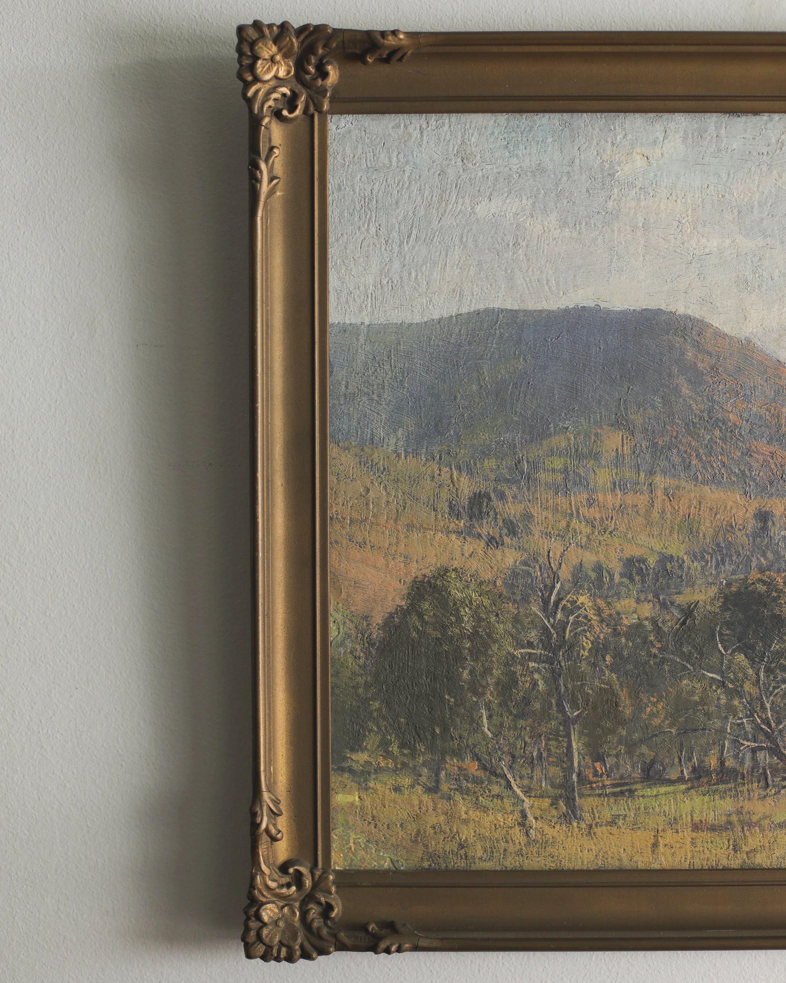 Open Country Light-8.jpg