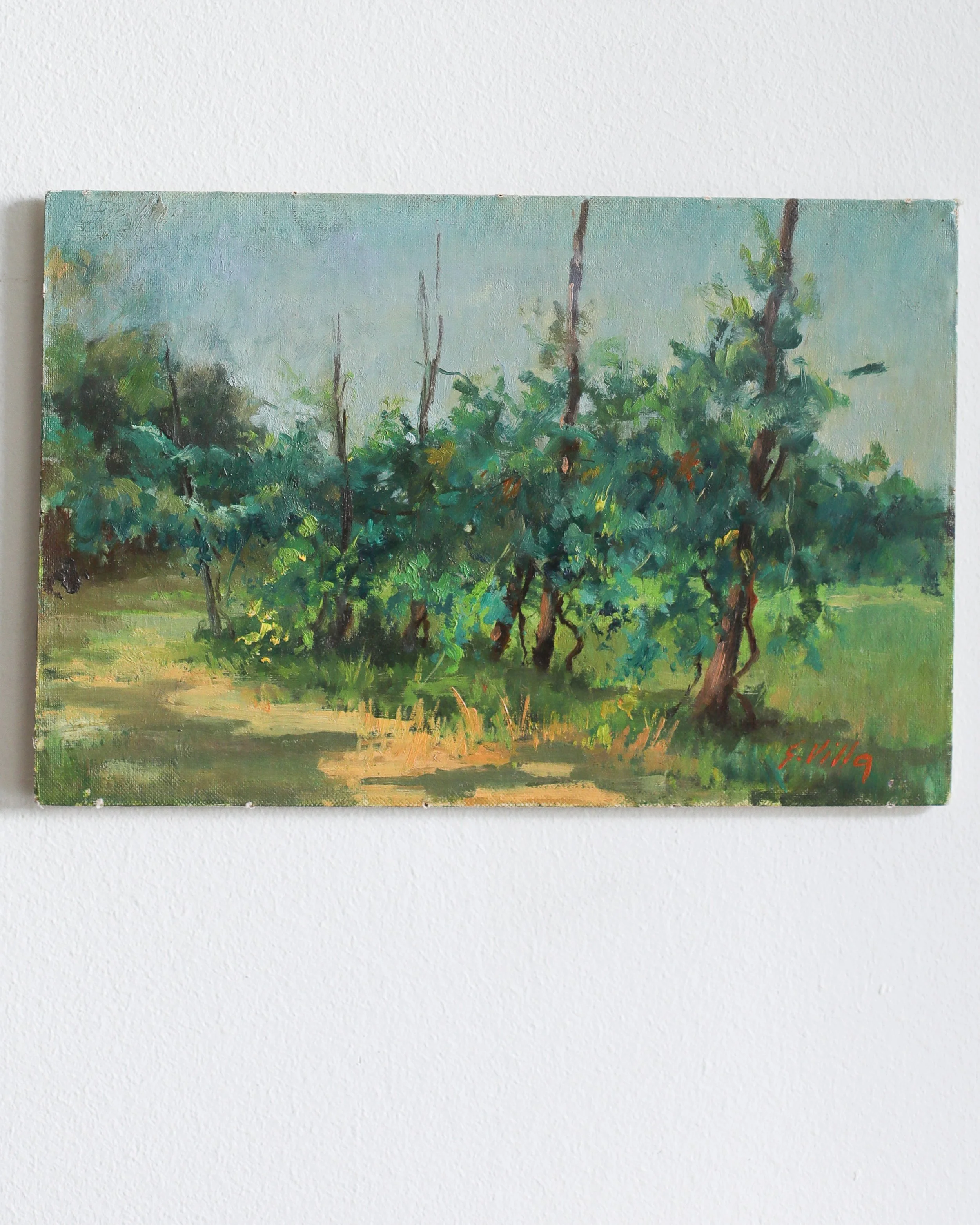 Italian Landscape Trees 2.jpg