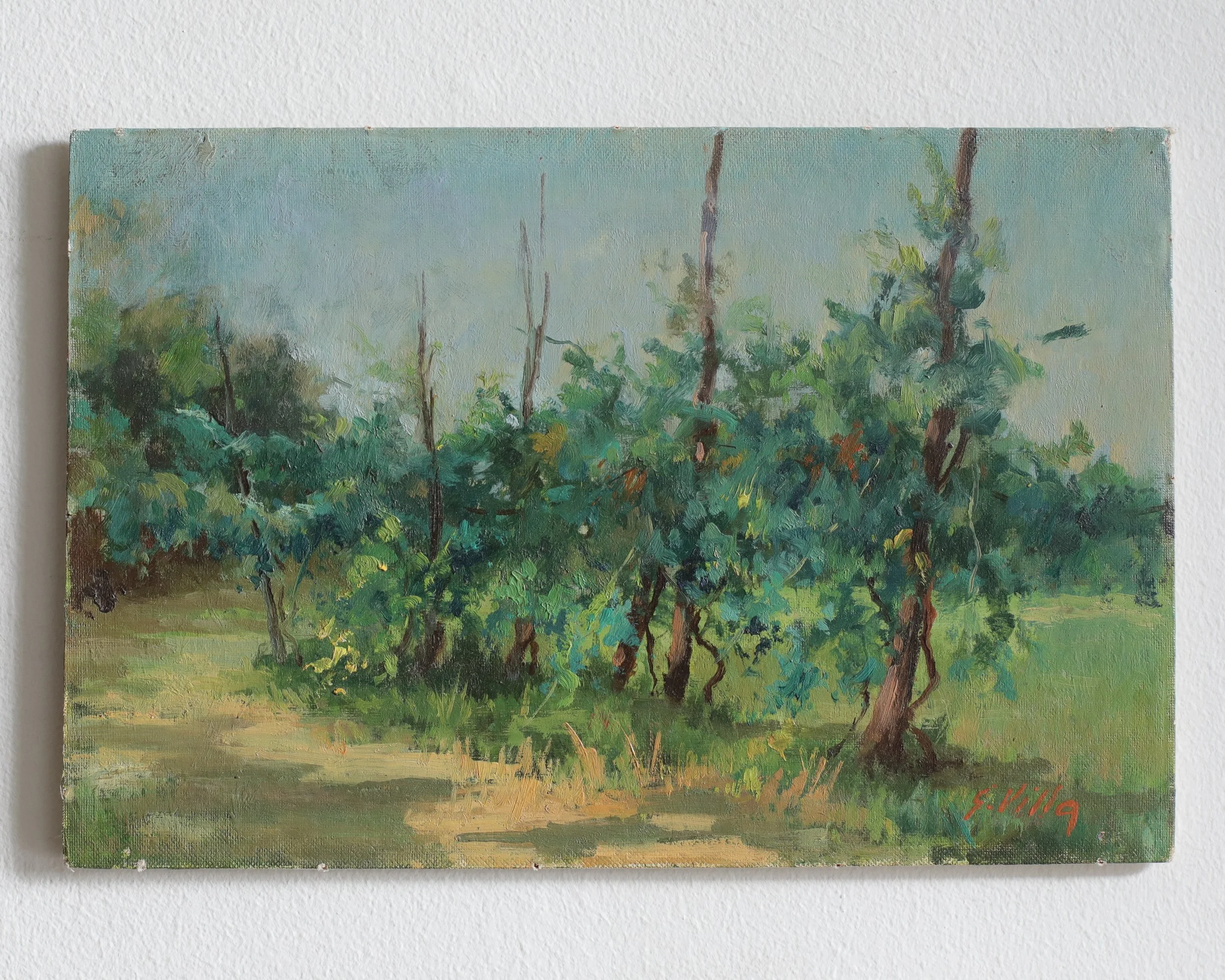 Italian Landscape Trees.jpg