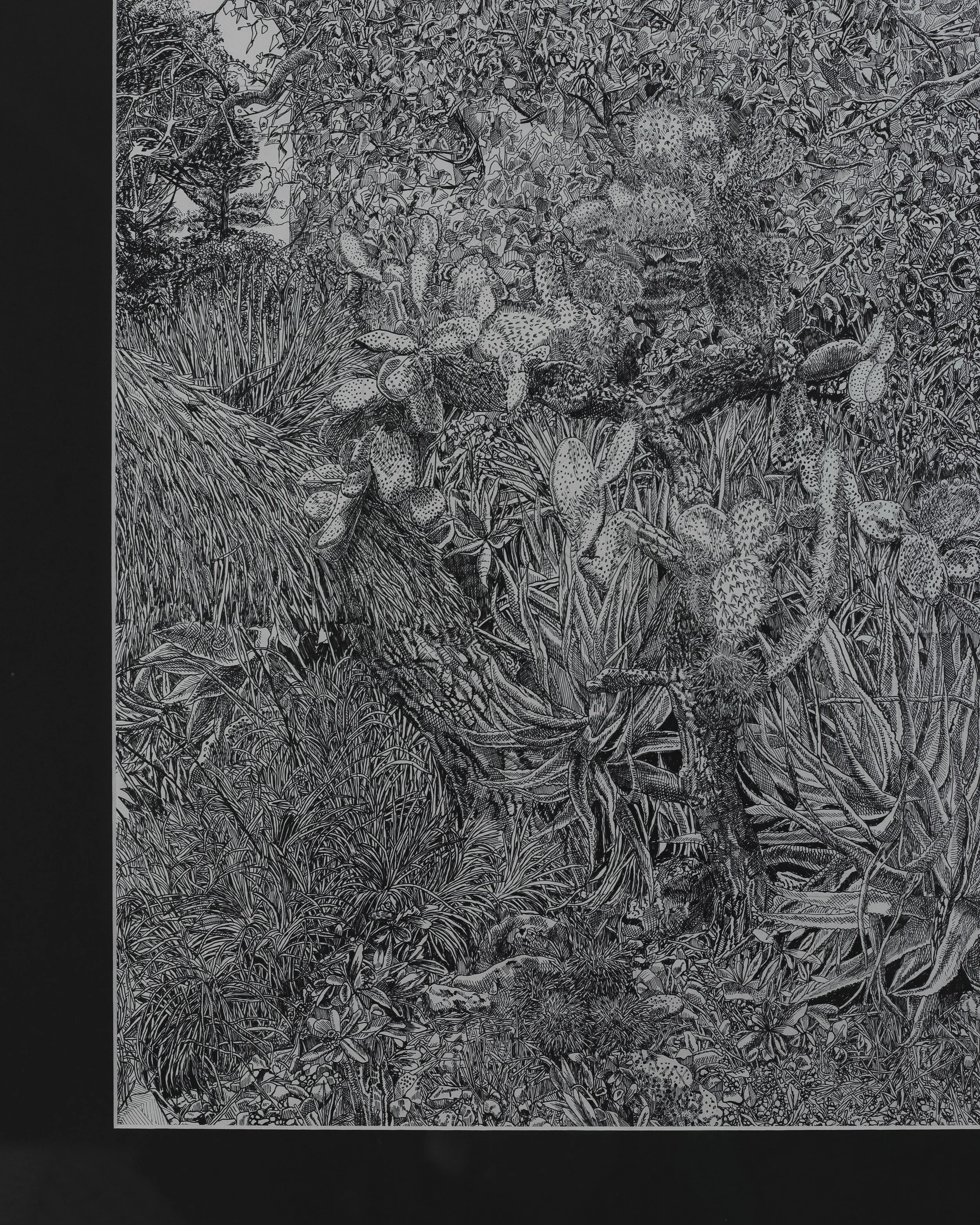 St Kilda Botanical Gardens-4.jpg