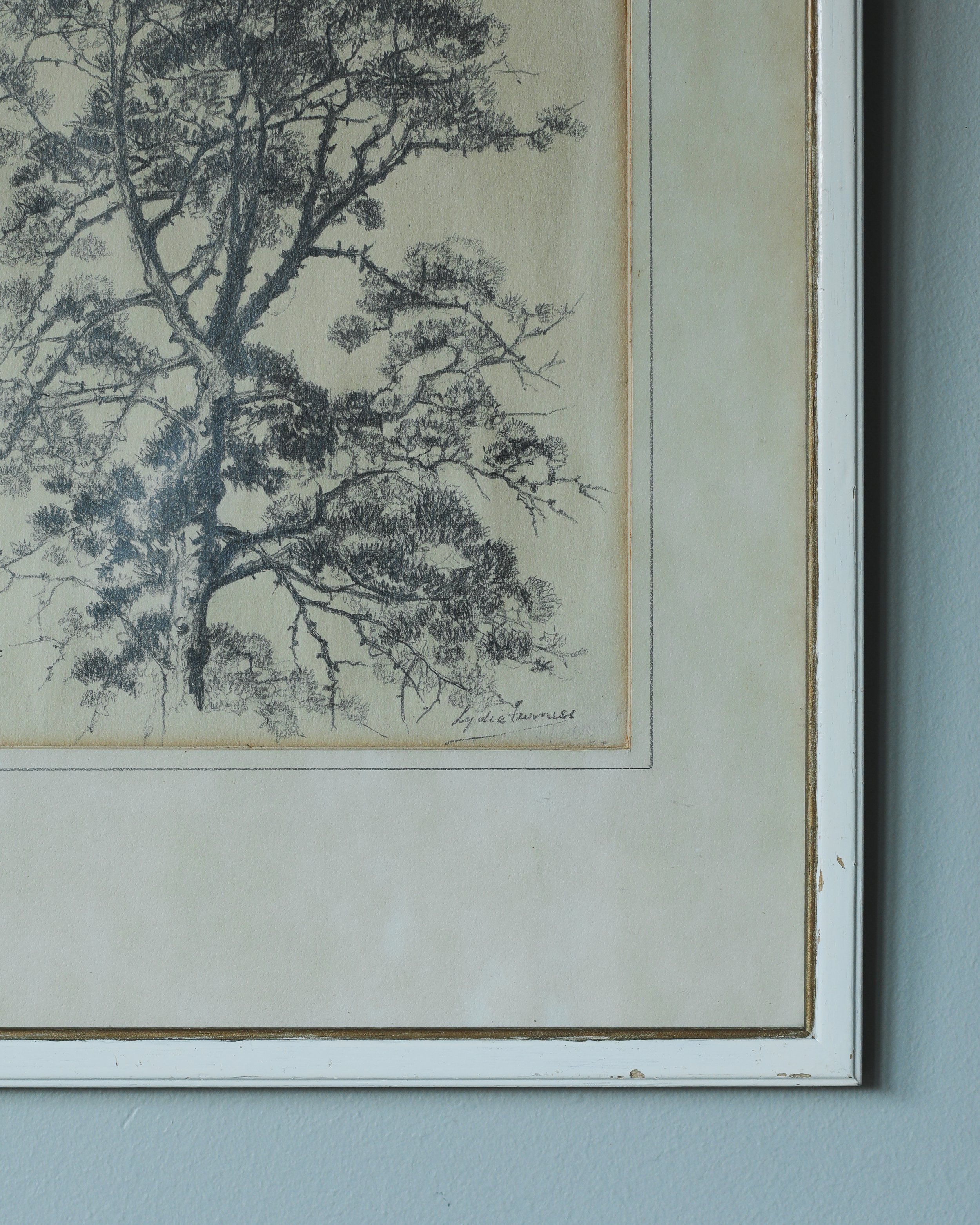 Pine Study-3.jpg