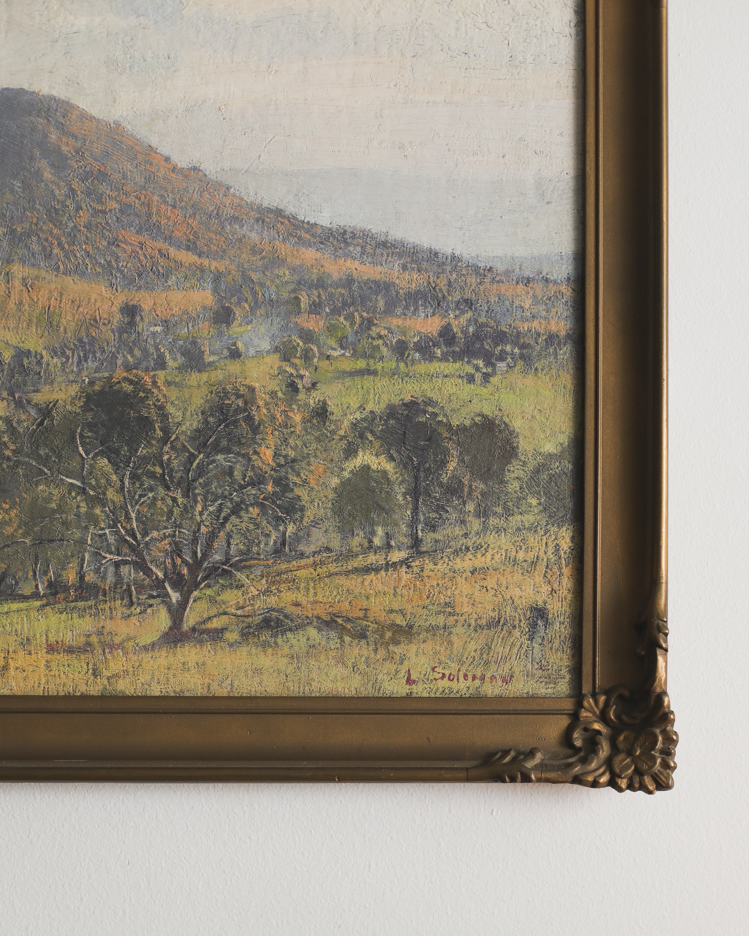 Open Country Light-7.jpg