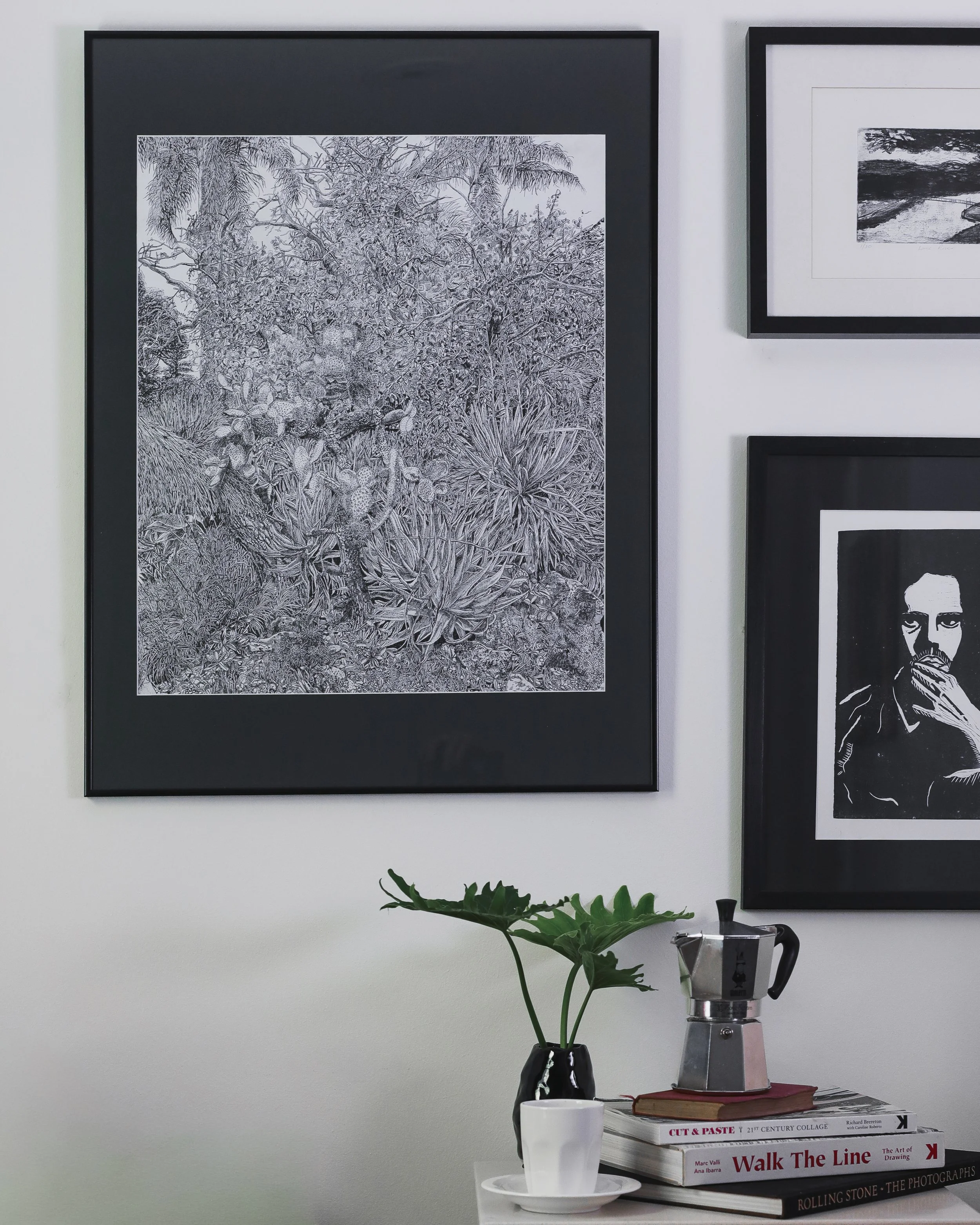 St Kilda Botanical Gardens.jpg