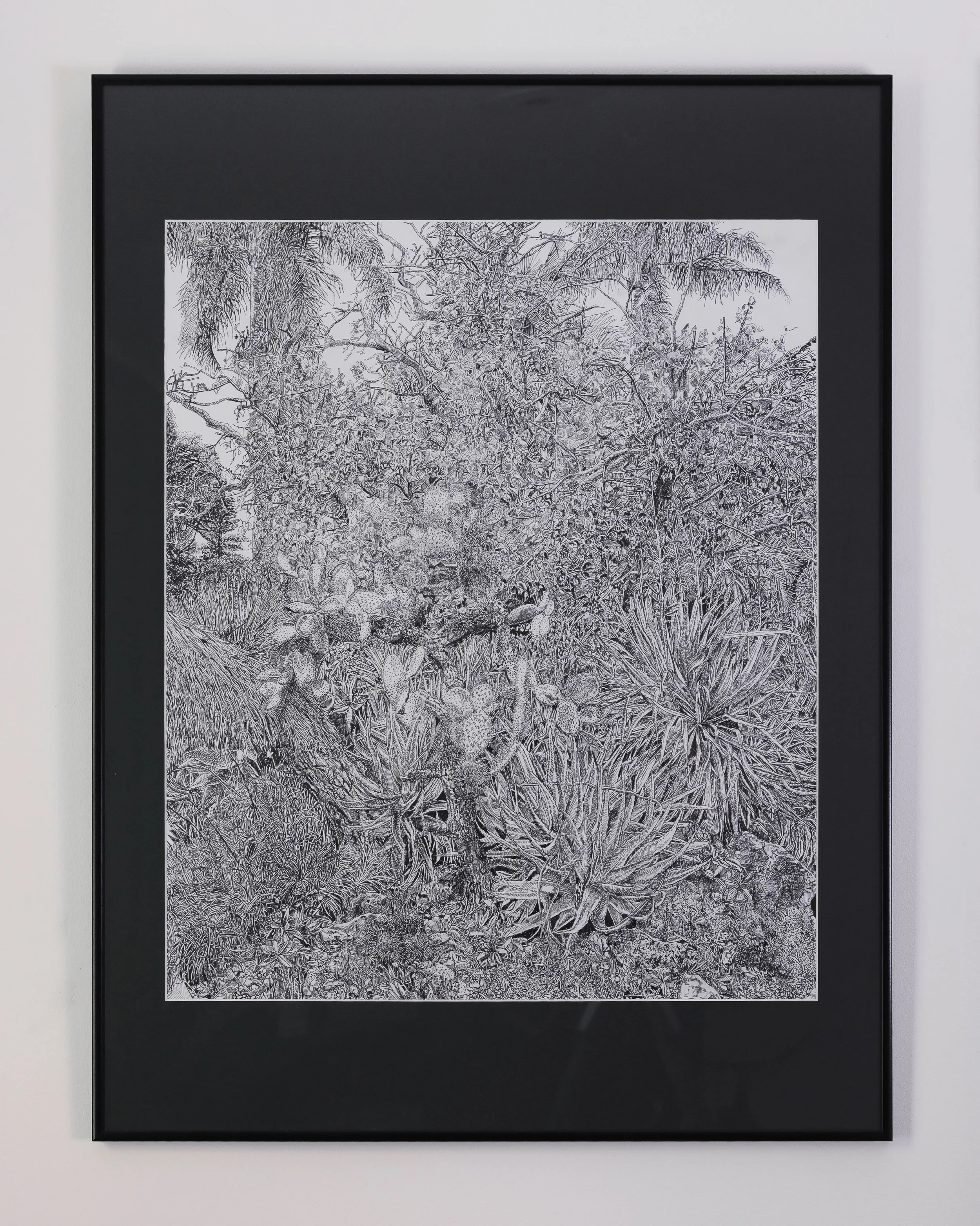 St Kilda Botanical Gardens-2.jpg