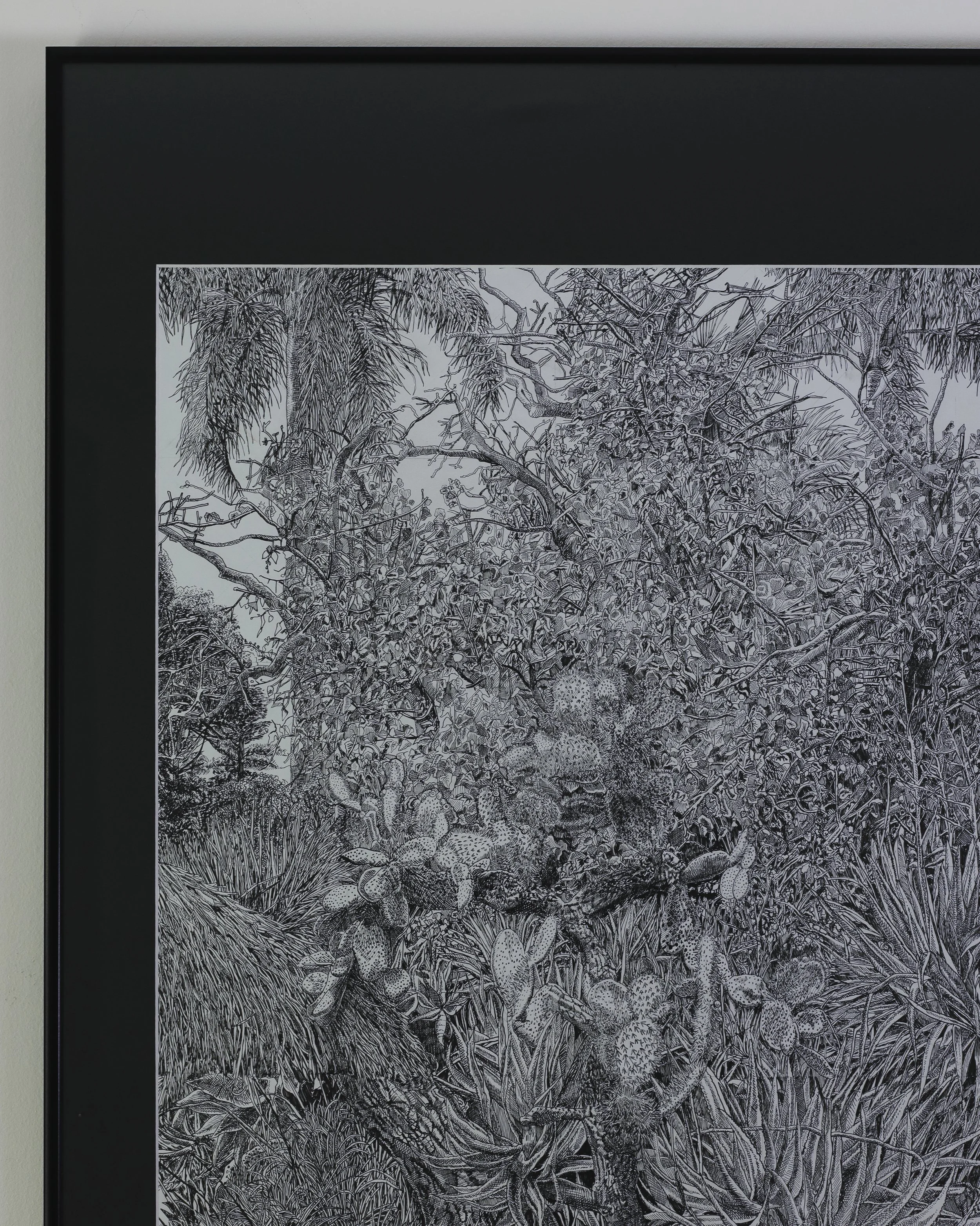 St Kilda Botanical Gardens-5.jpg