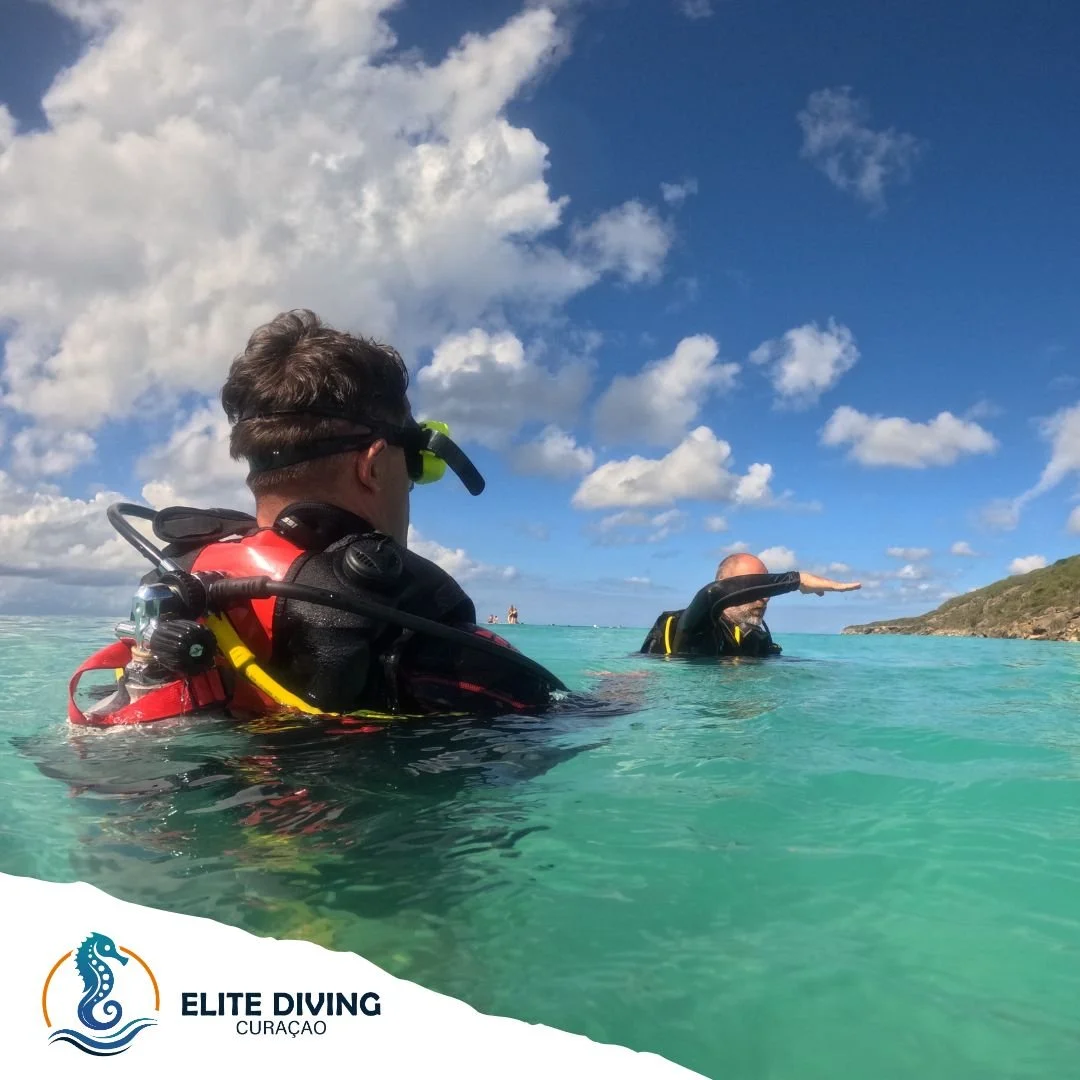 🌊Already a fan of snorkeling? Ready for the next step?

Go for a Discovery Dive &mdash; one dive under the guidance of one of our instructors.
Feel what it&rsquo;s like to breathe underwater like a real scuba diver.

No experience needed. Just curio