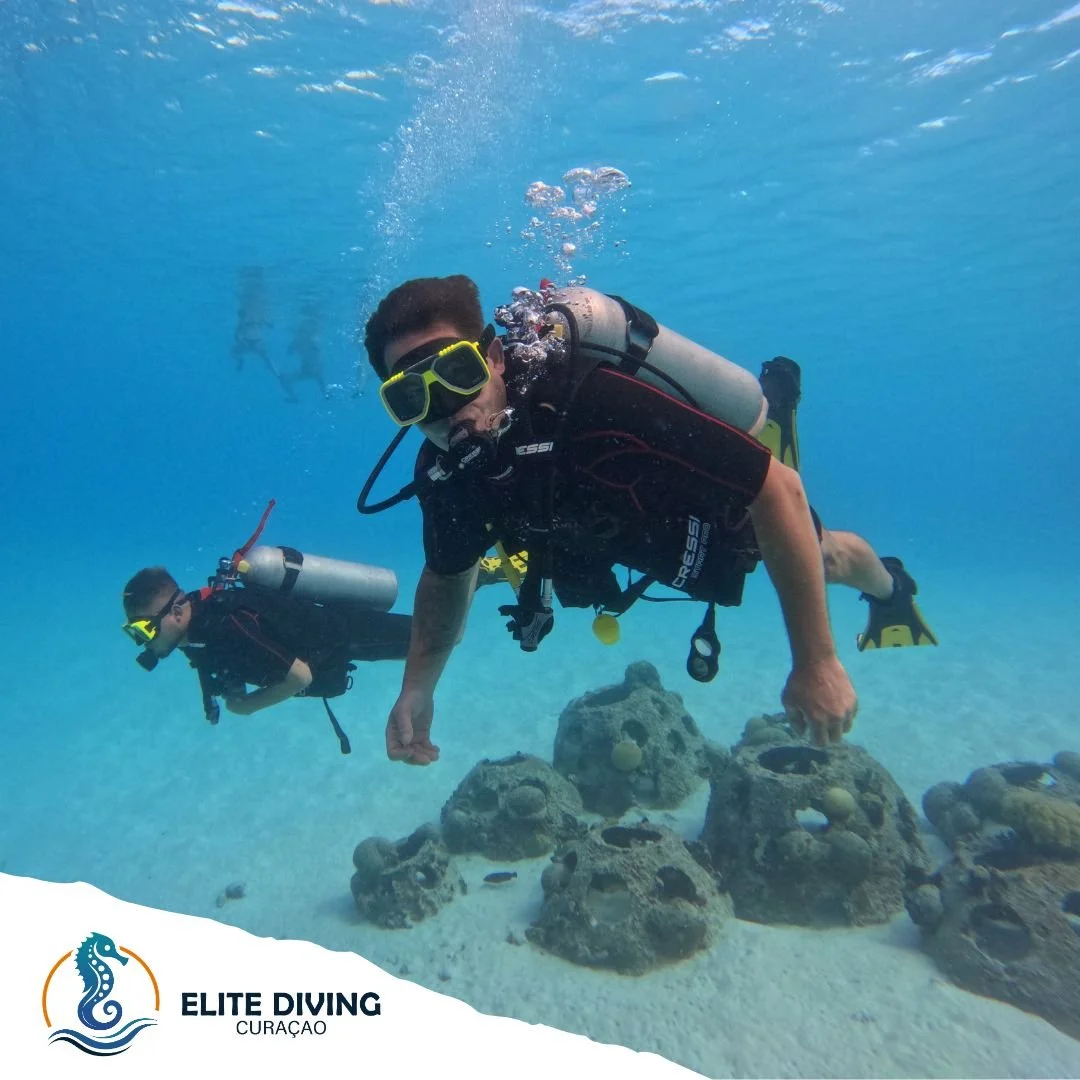 We are live! 
Elite Diving Cura&ccedil;ao is officially up and running.

We are ready to welcome you to explore the beautiful underwater world of Cura&ccedil;ao.

Never dived before? No problem &mdash; we offer introductory dives to get you started. 