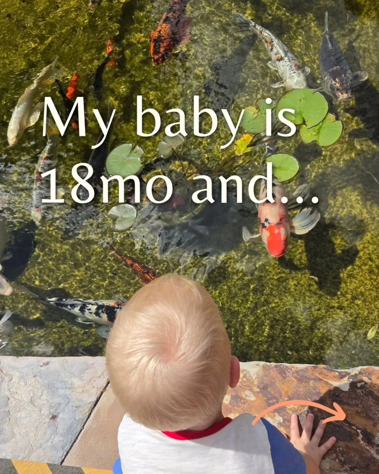 ❤️In case anyone needs to know they aren't alone and it's ok to do things differently than the typical baby advice.

✨️I want to know, how old is your baby, and what are you doing that is working well for you both?

#baby #mom #newmom #firsttimemom
