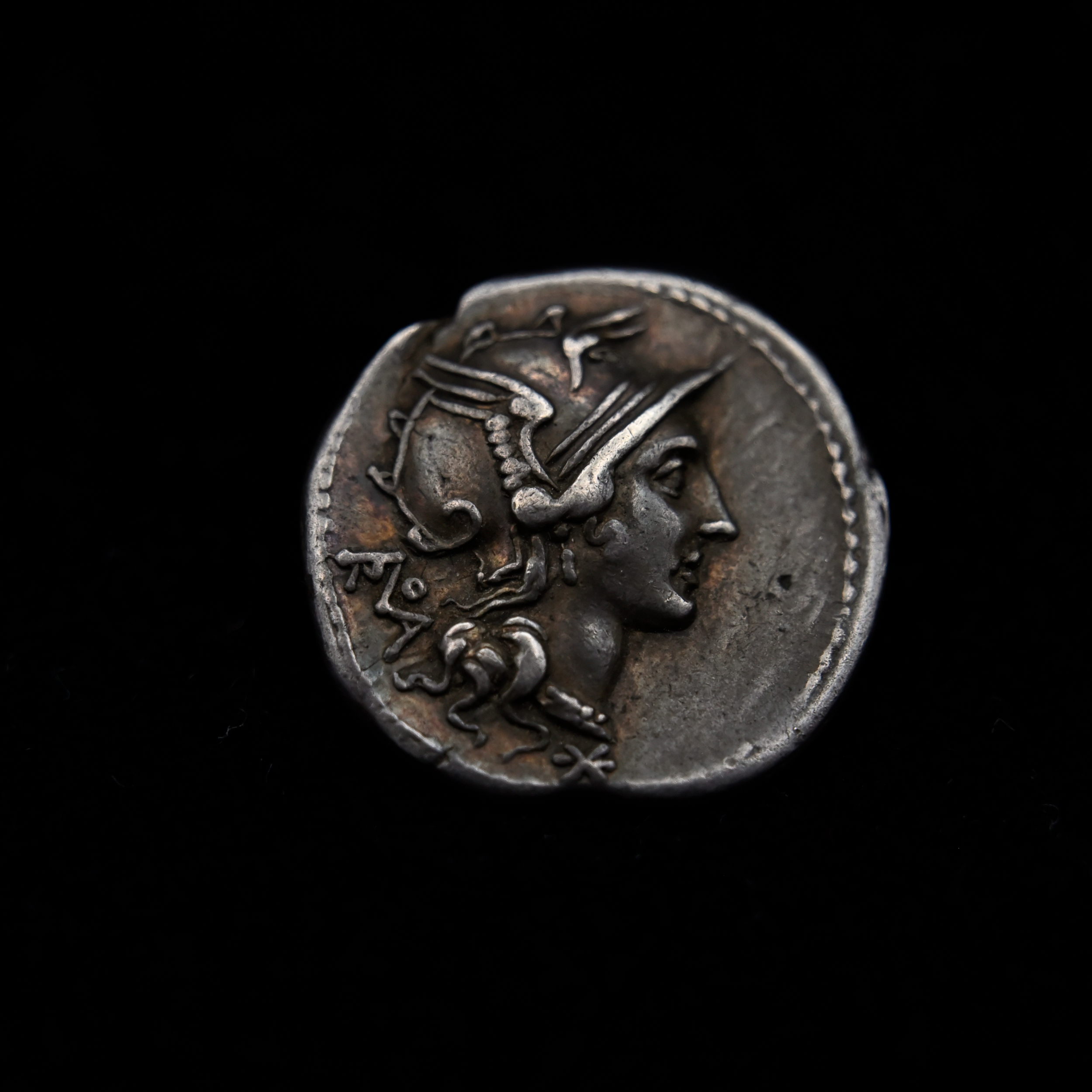 didius-obv.png