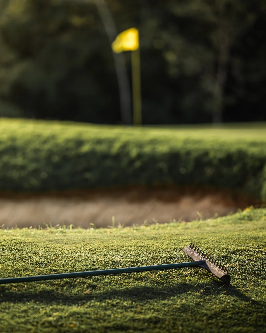 IG_Club de Golf-1.jpeg