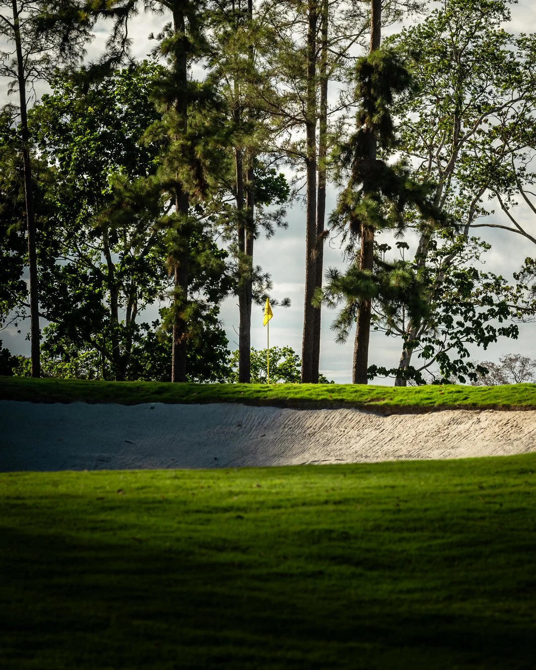 Project Yellow Flag-5.jpeg