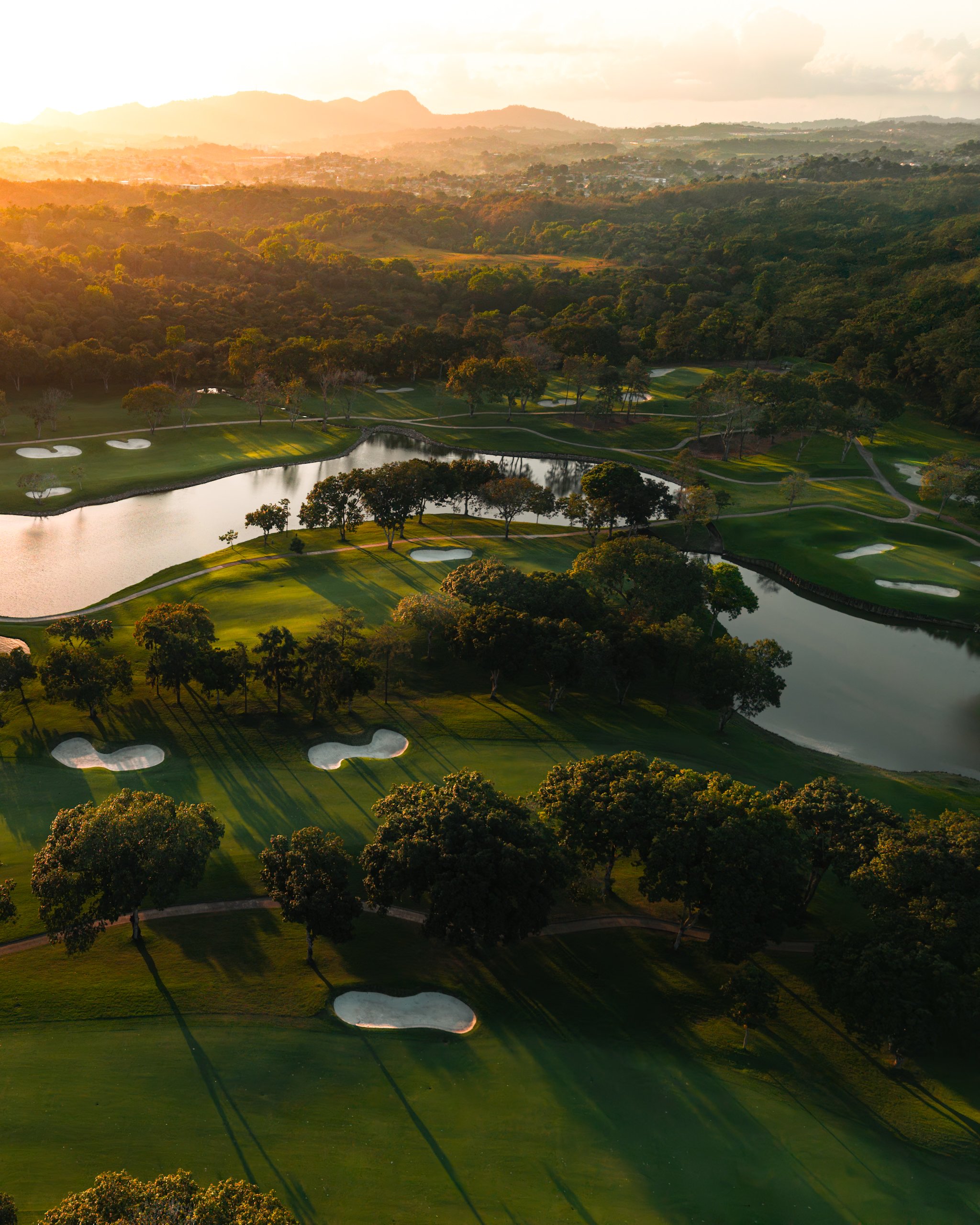 20250118_untitled shoot_5-Enhanced-NR-Edit.jpeg