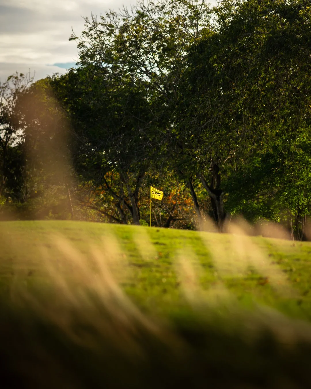 Project Yellow Flag-6.jpeg