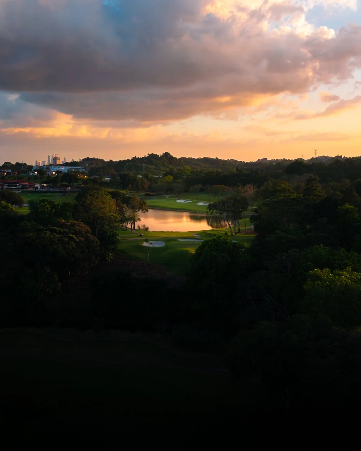 20250118_untitled shoot_8-Enhanced-NR.jpeg