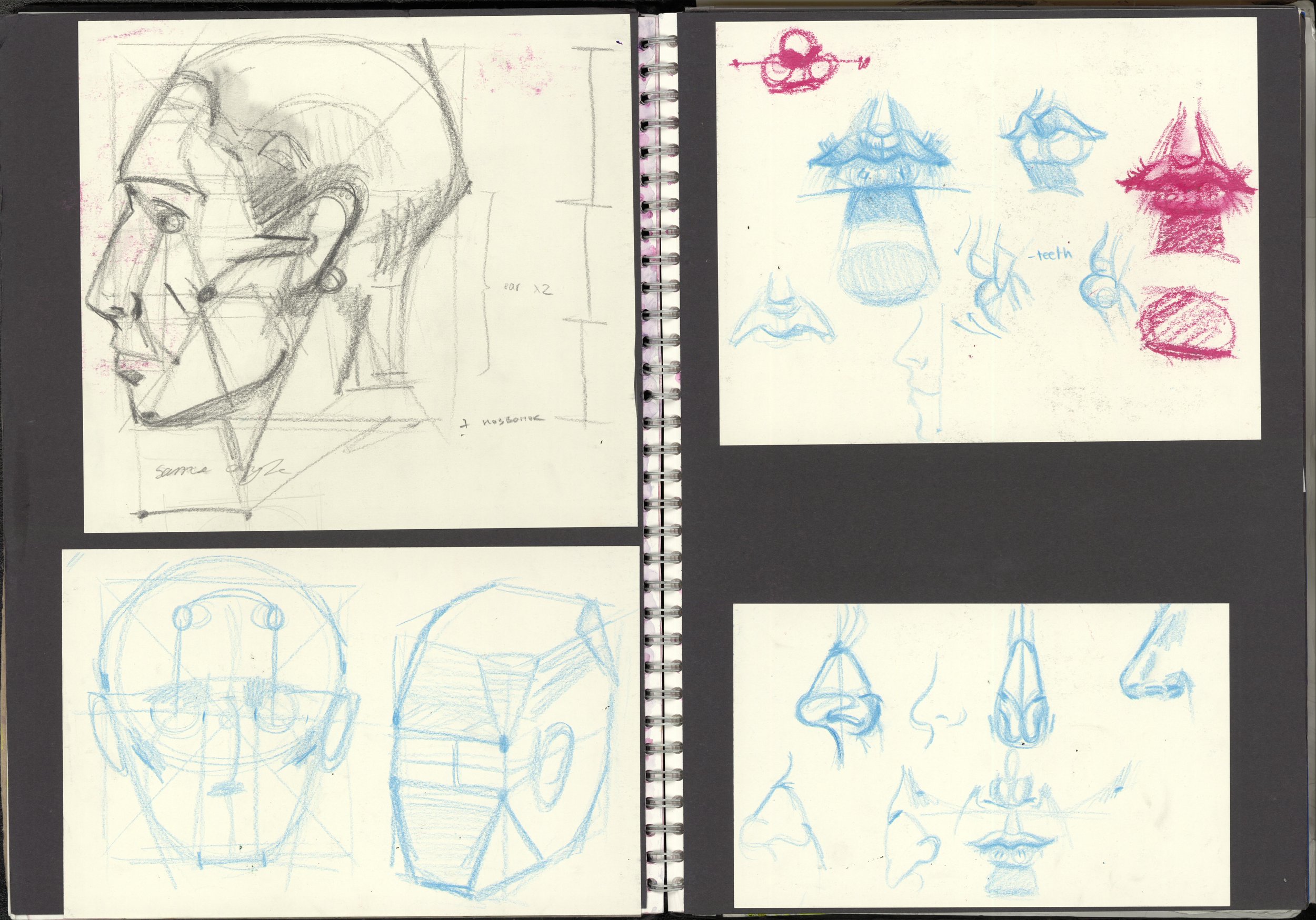 A study on human anatomy