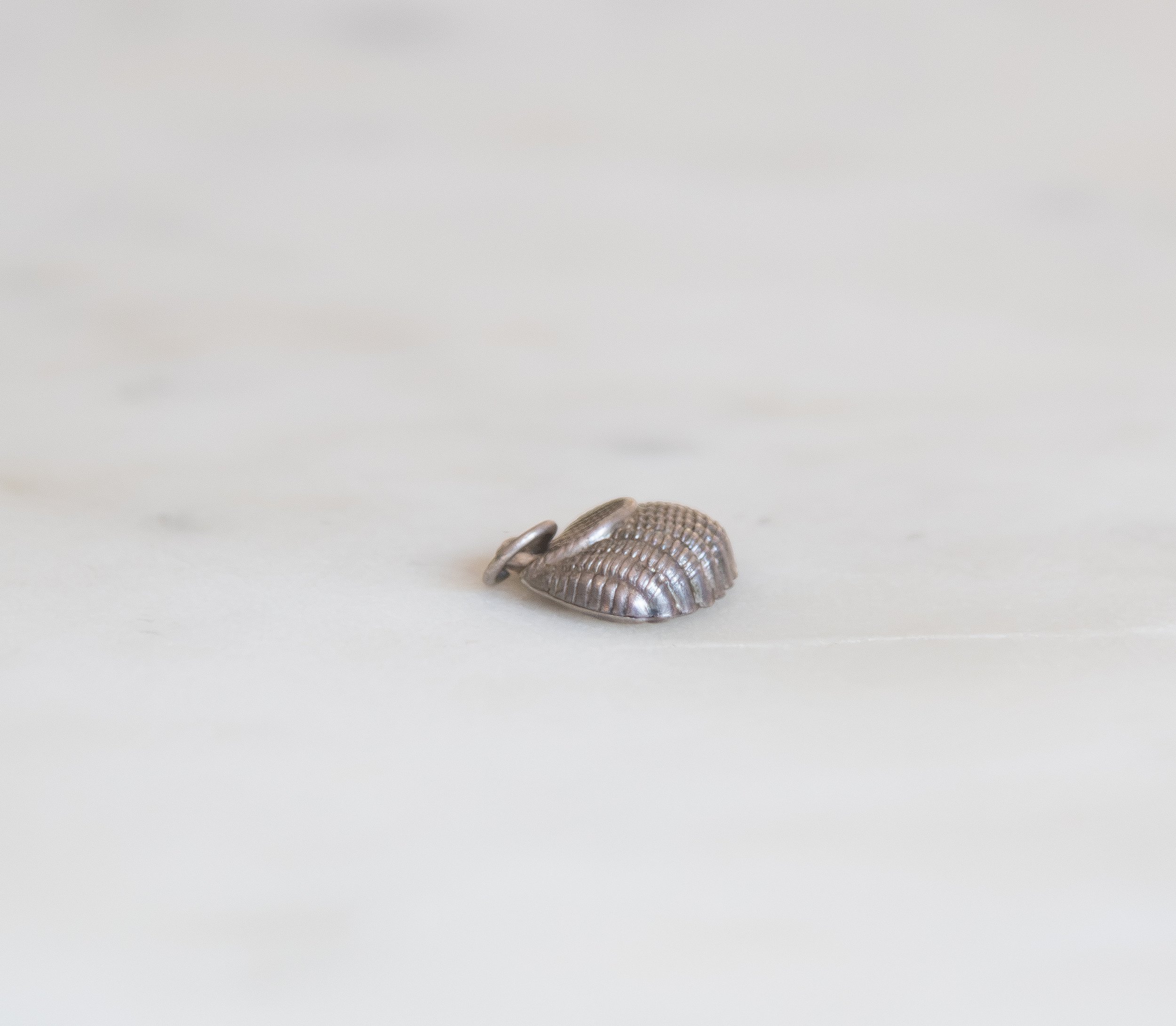 DSC_4392.jpg