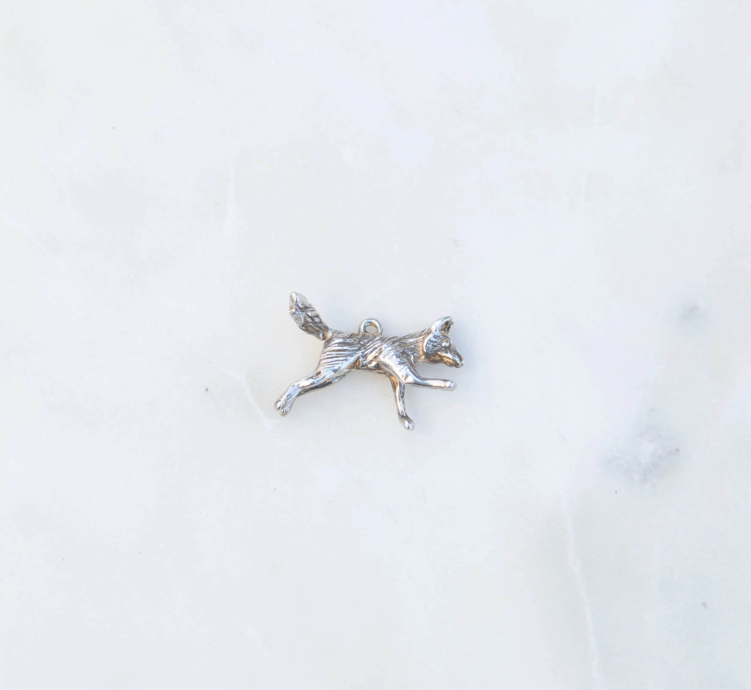 DSC_1800.jpg