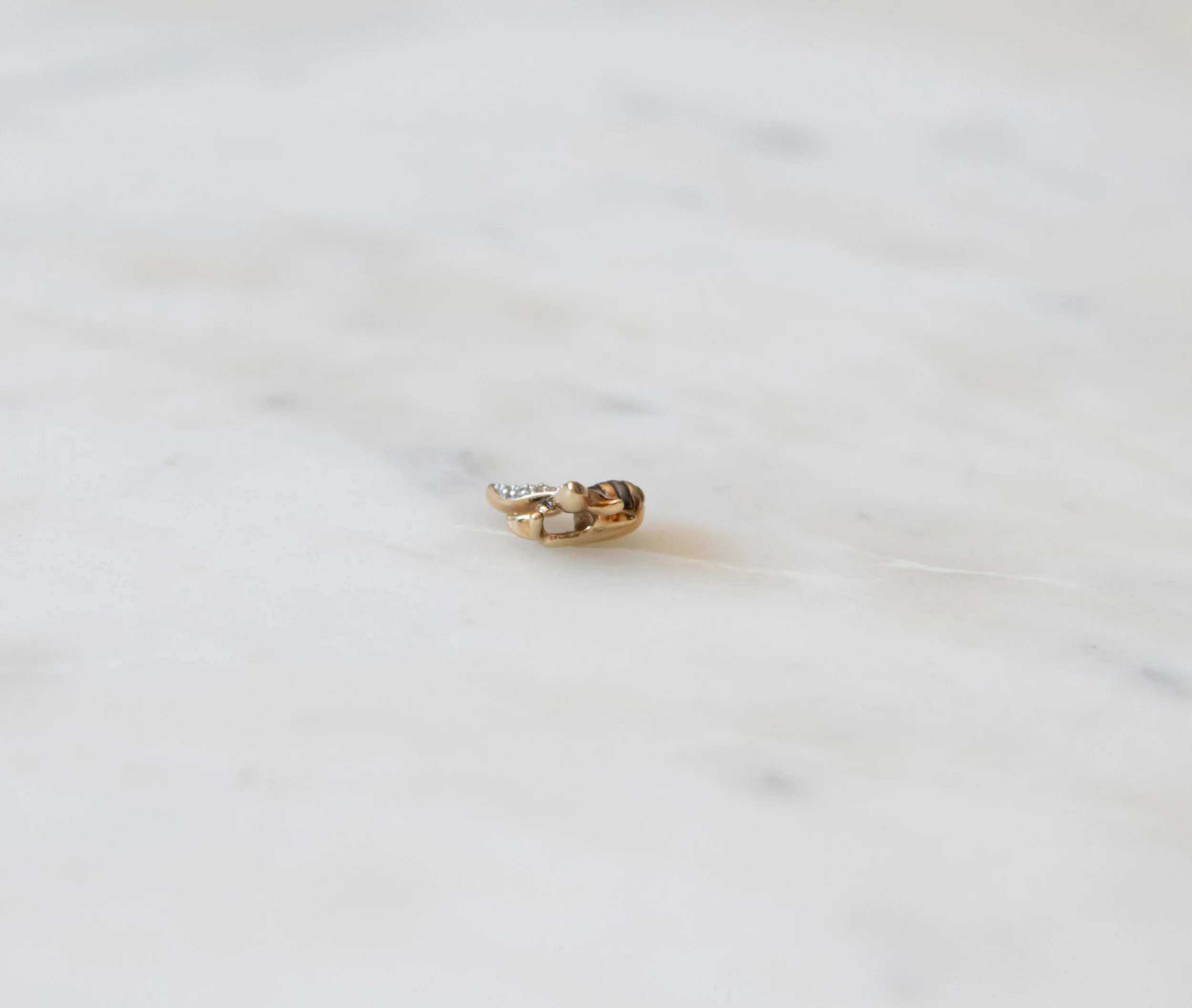 DSC_3061.jpg