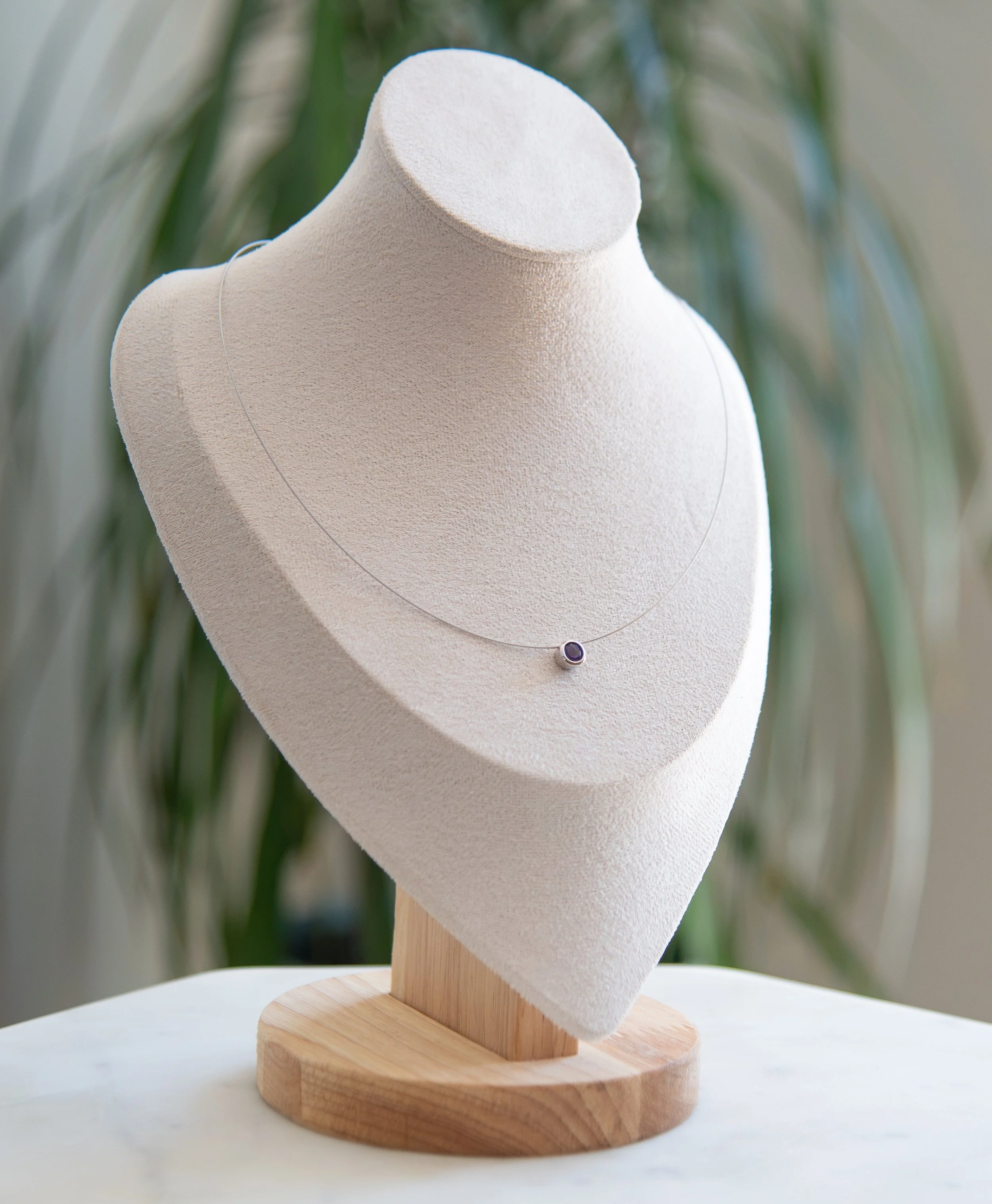 DSC_3881.jpg