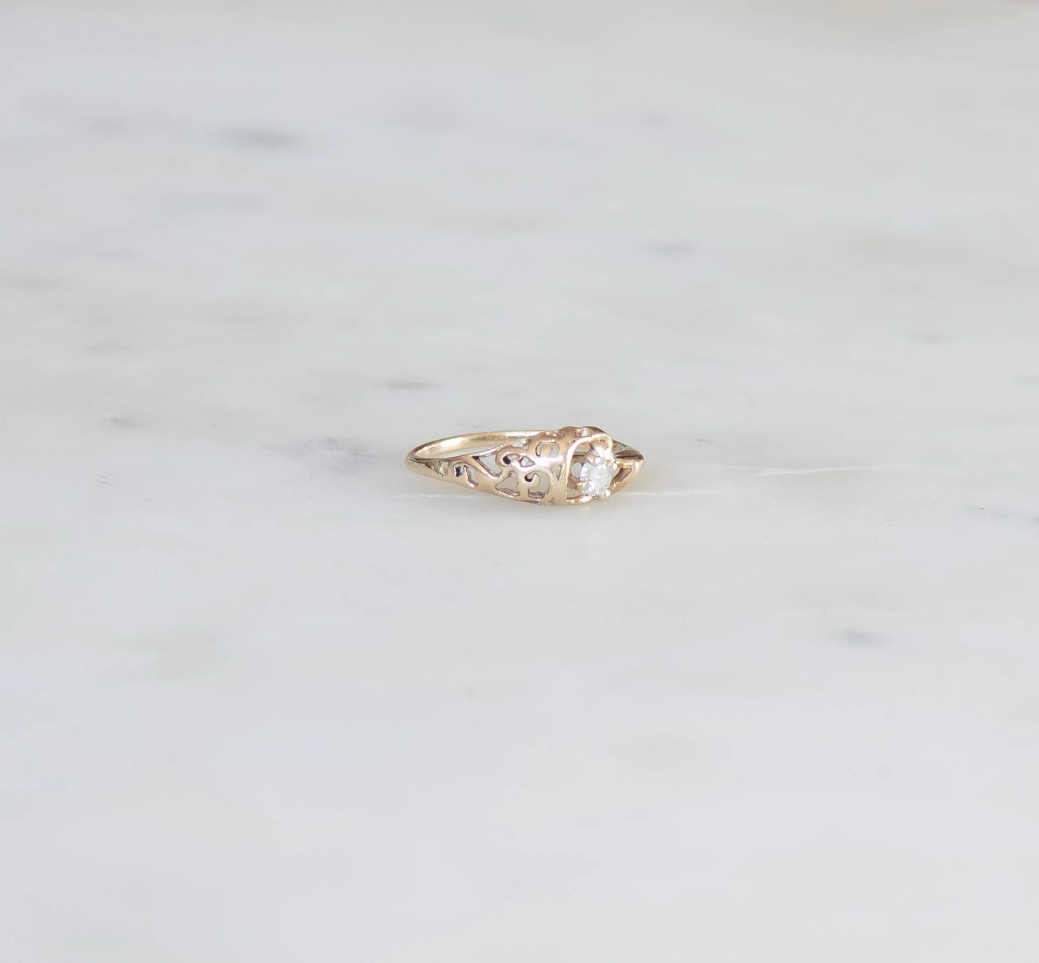 DSC_3481.jpg