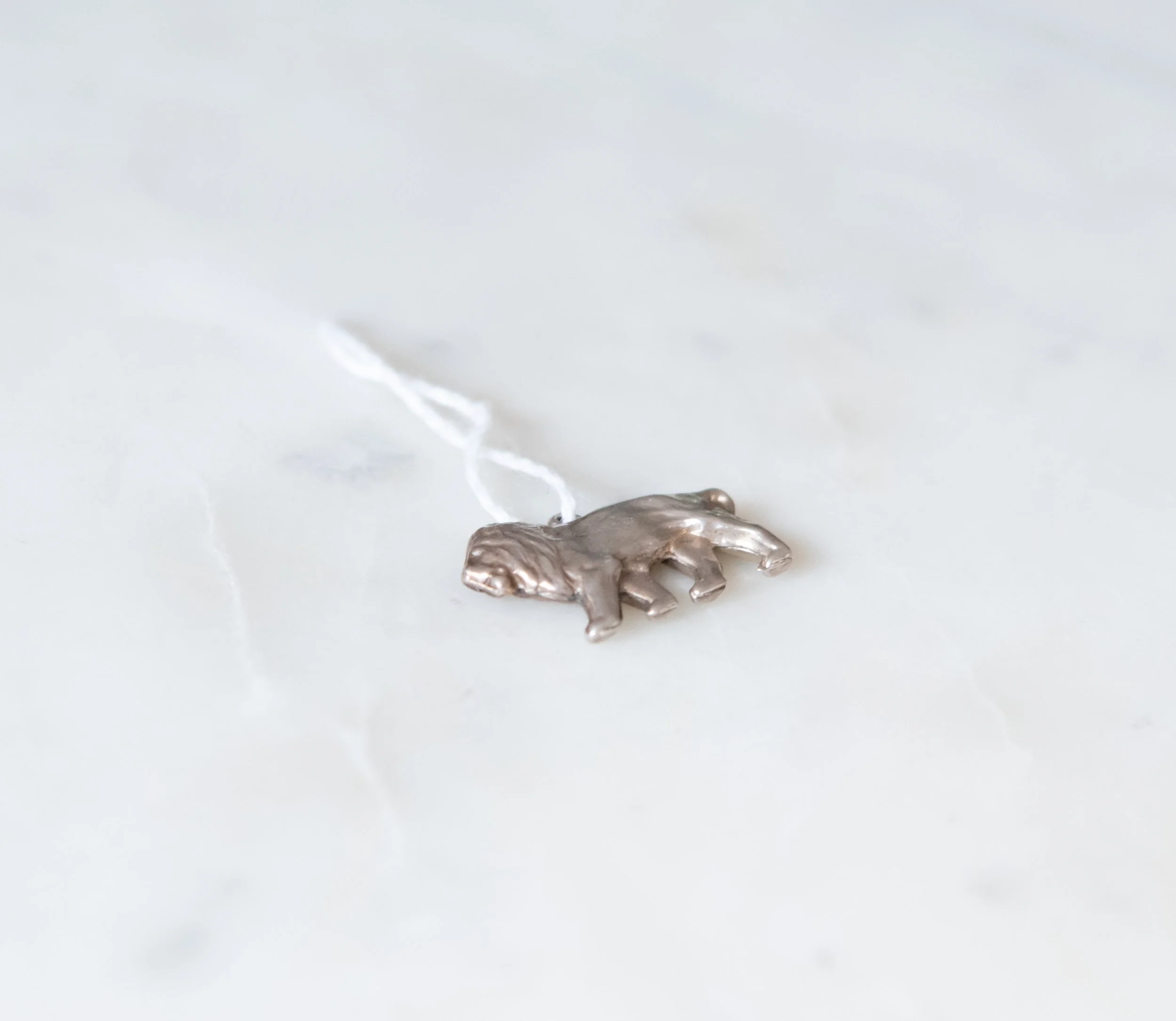 DSC_3193.jpg