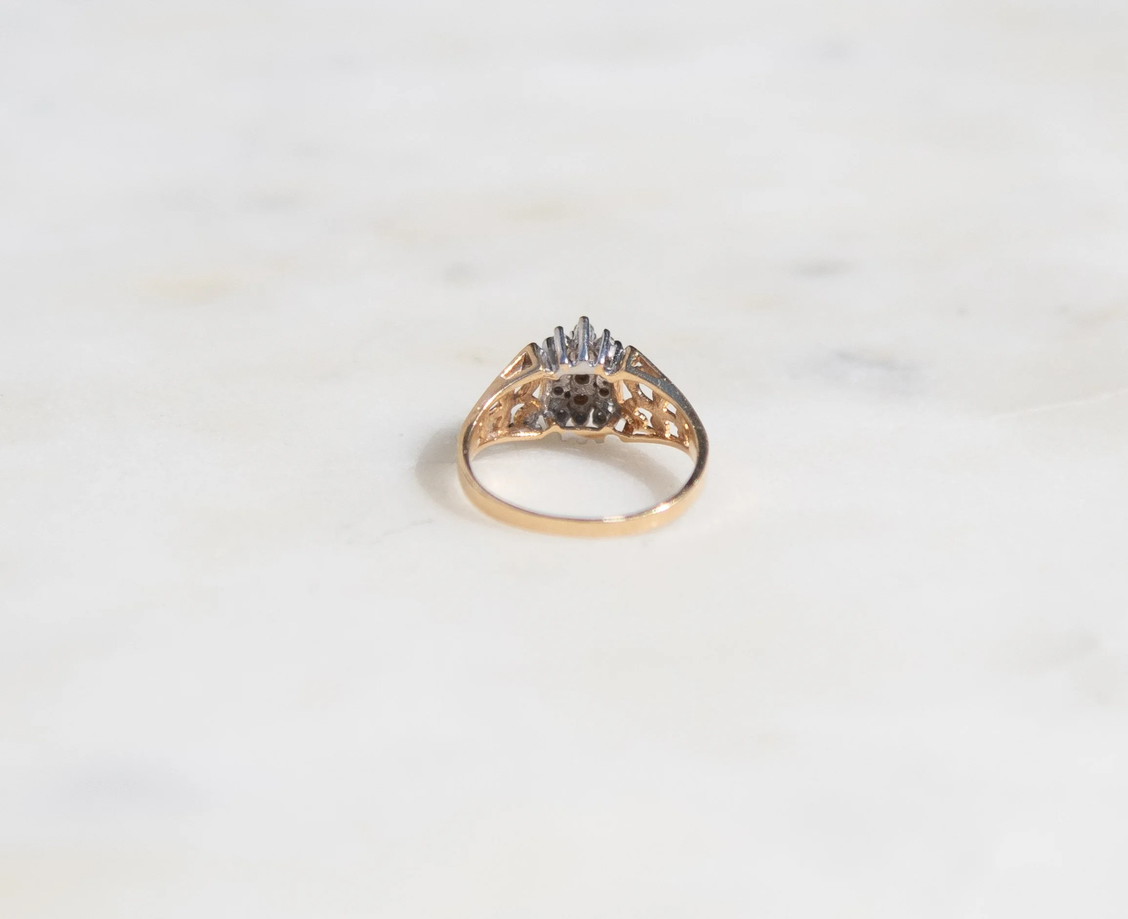 DSC_4098.jpg
