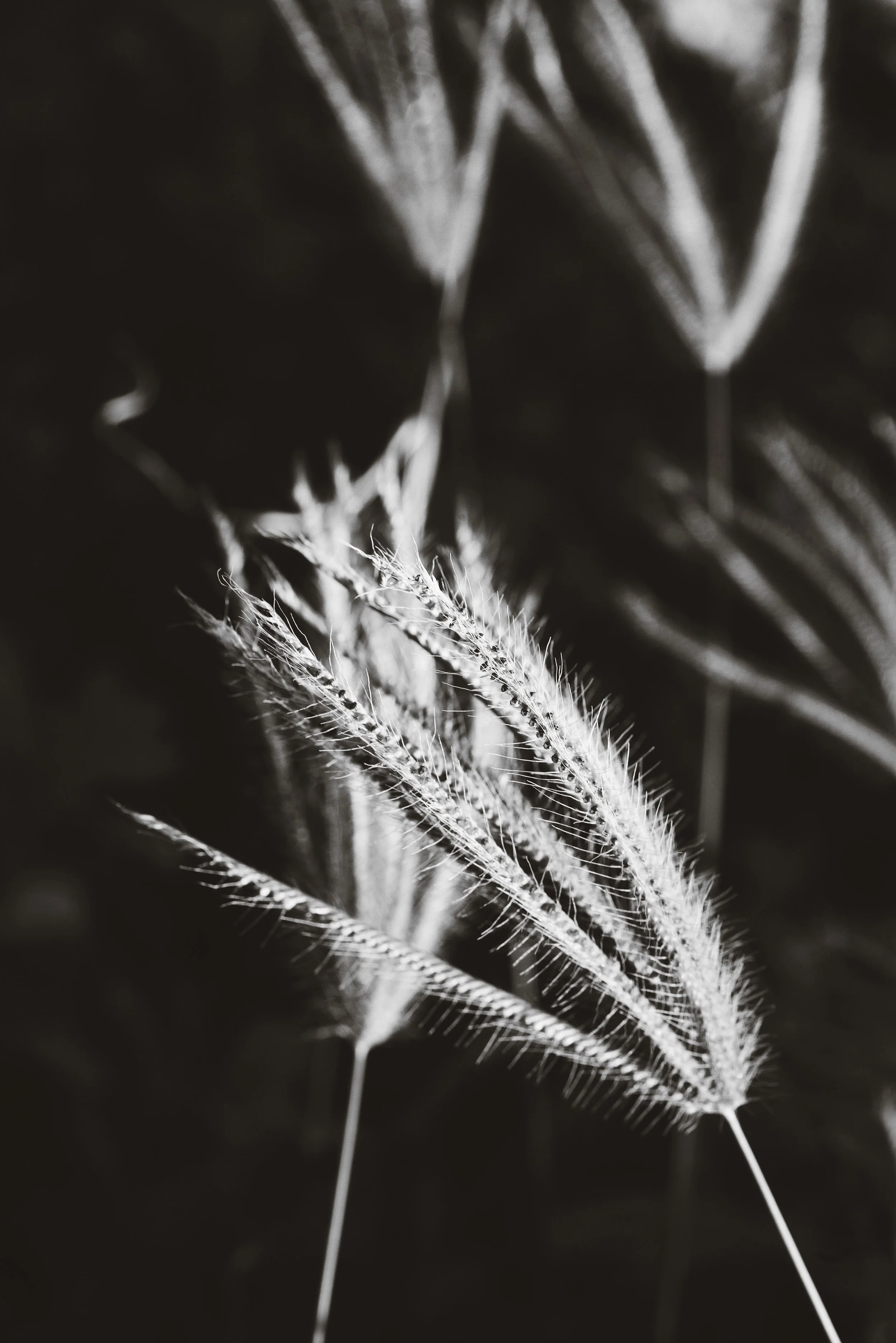 6DE4594A-9816-4F0B-AF2F-6BC80EBA9CC6.jpg
