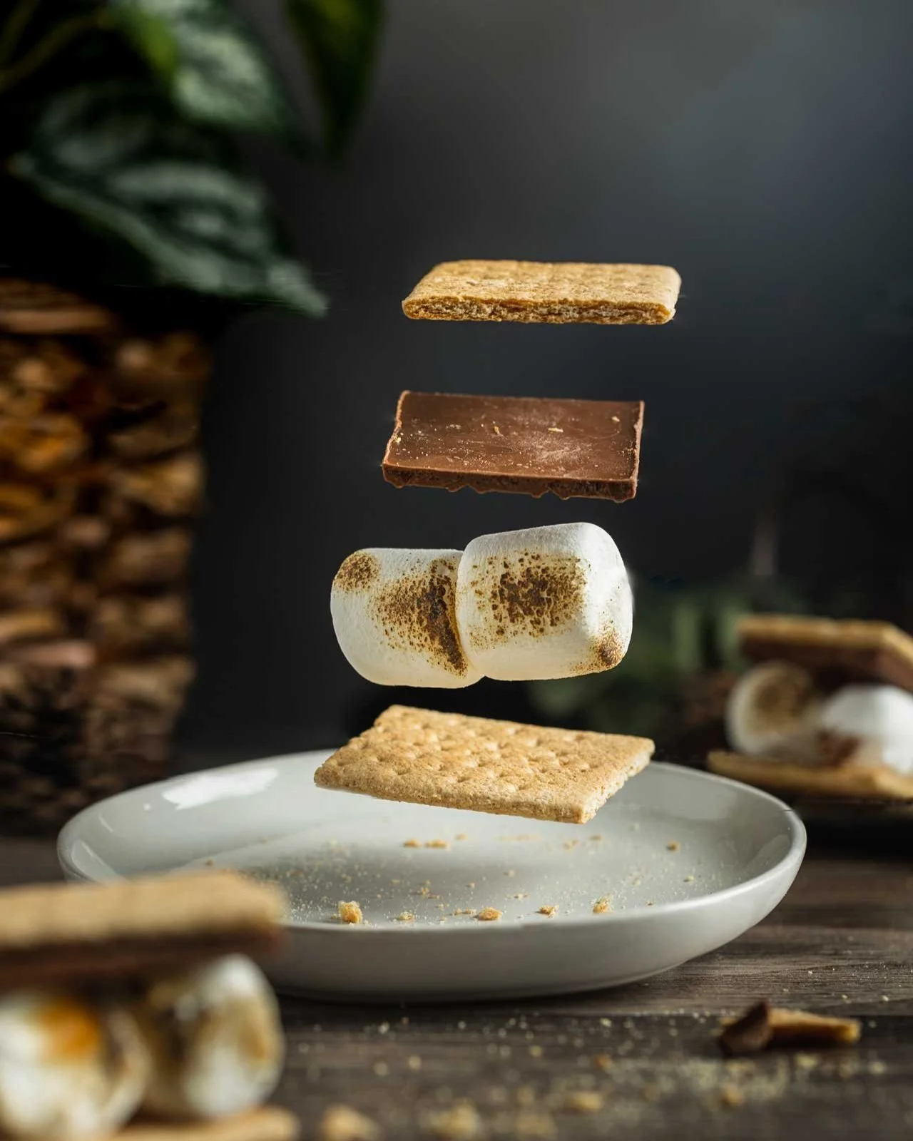 SMORES.jpg