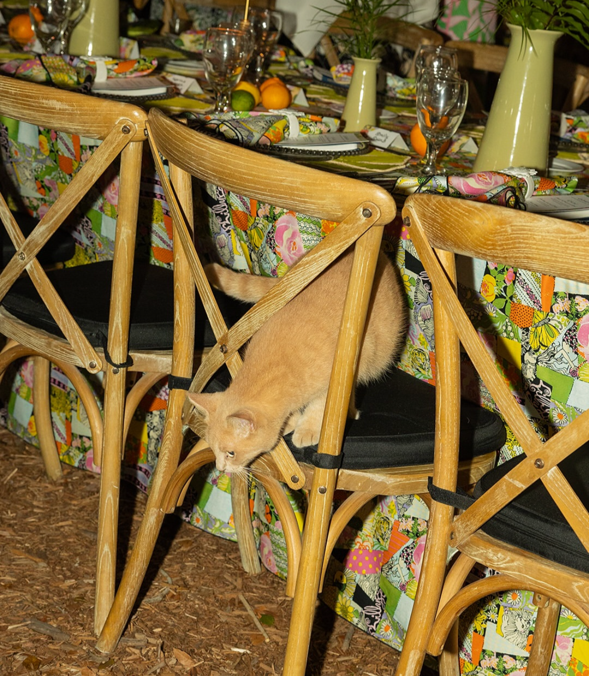 Key West | Lilly Brand Dinner