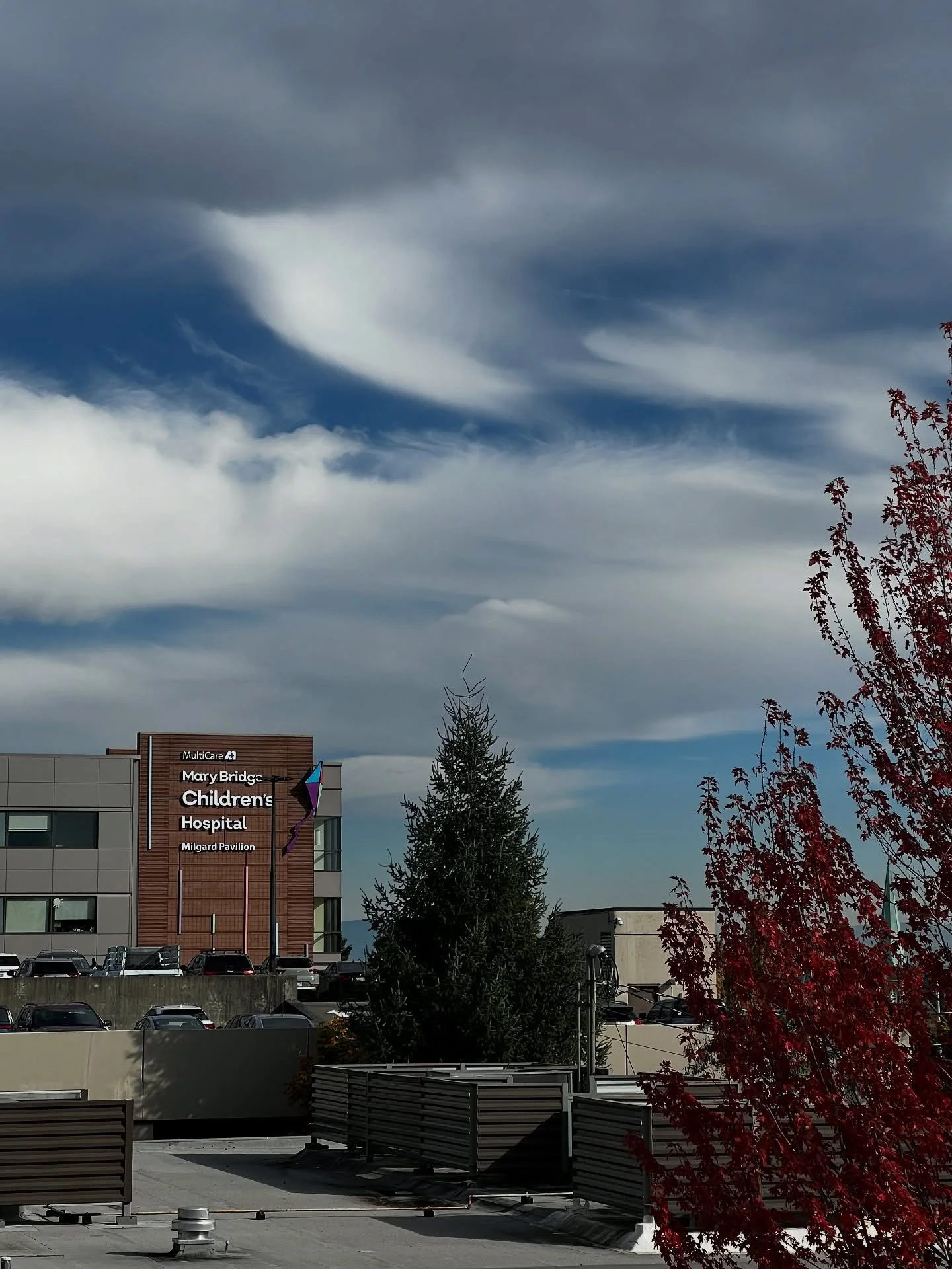 Working on an extensive wayfinding project out Mary Bridge Children&rsquo;s Hospital. I was reminded by my view at the top of the parking garage that life is fragile. Beyond the signs there is a deeper meaning. People finding their way to their sick 