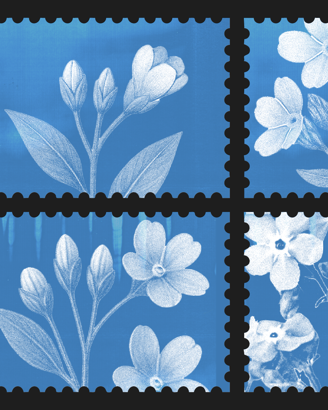 flower_Mesa de trabajo 1 copia 13.png