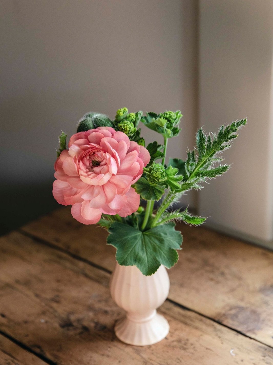 Spring is finally here&hellip; I think 🌱

Or at least that&rsquo;s what the calendar says&mdash;even if this week has me questioning everything.

And my mind? Completely taken over by flowers.

I think about them all day&mdash;tiny seedlings, strong