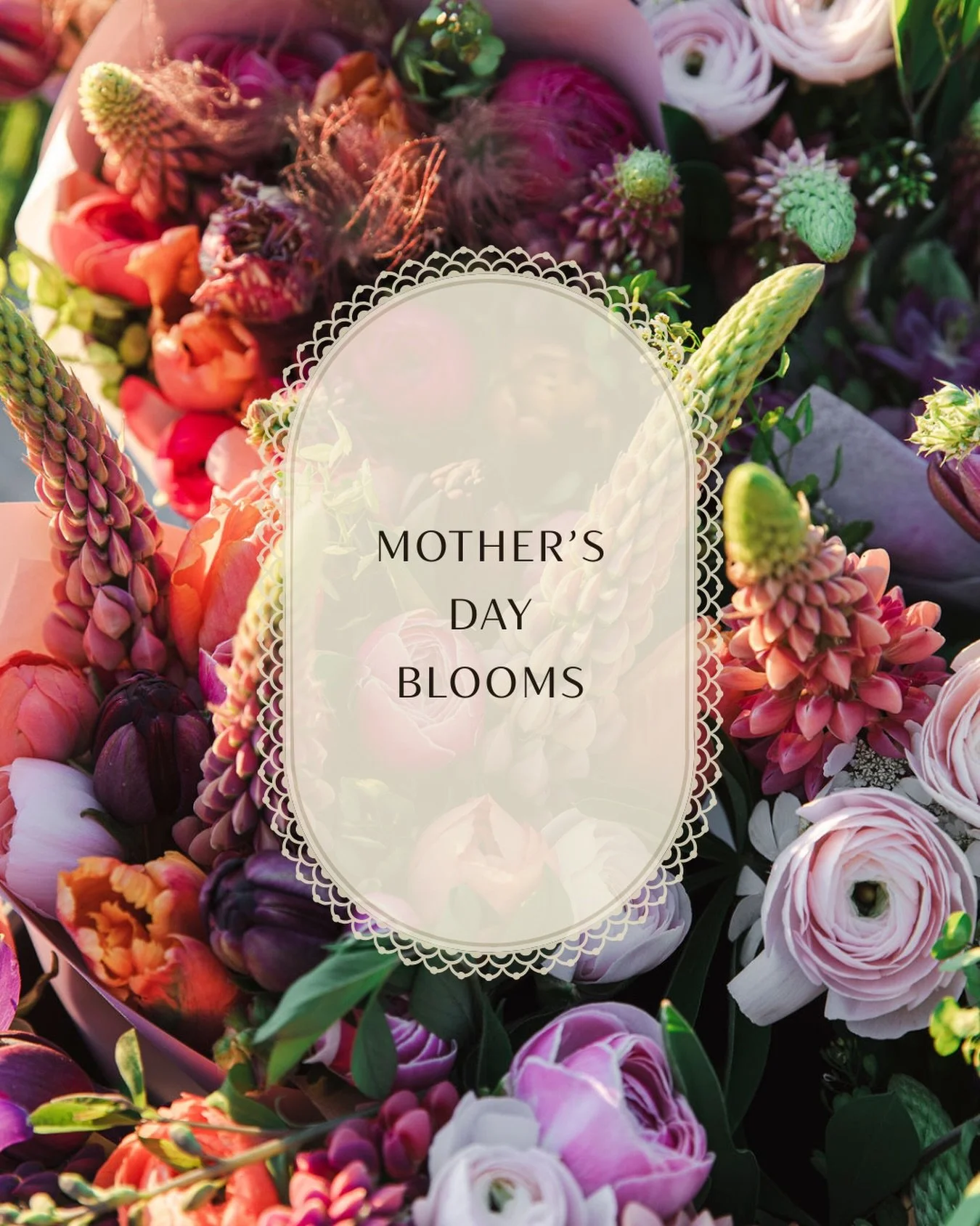Mother&rsquo;s Day is just around the corner, and spring is finally beginning to unfold. The first blooms of the season will be ready to share with you later this week&mdash;just in time for Mother&rsquo;s Day. 🤍

Mother&rsquo;s Day deliveries withi