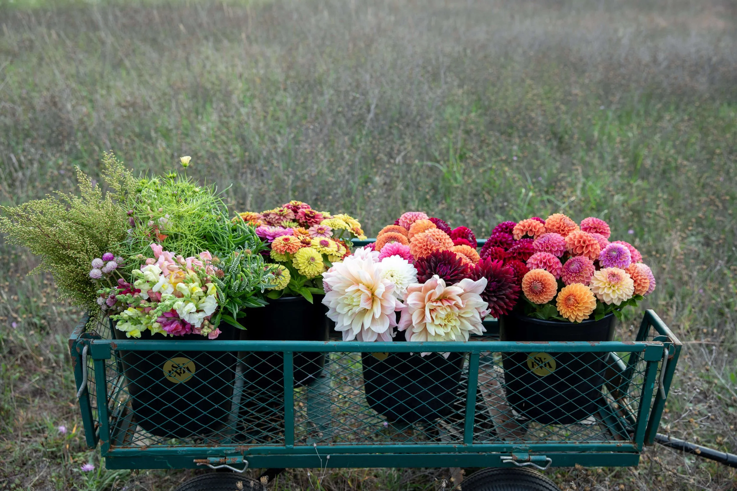 buckets of flowers svenja & co 3.jpeg