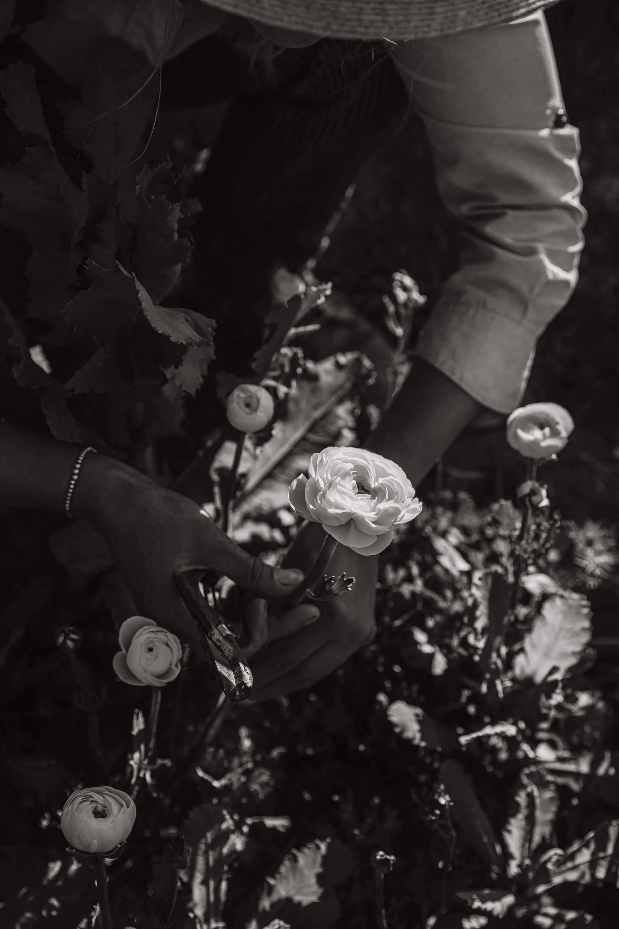 spring flowers Traverse City.jpeg