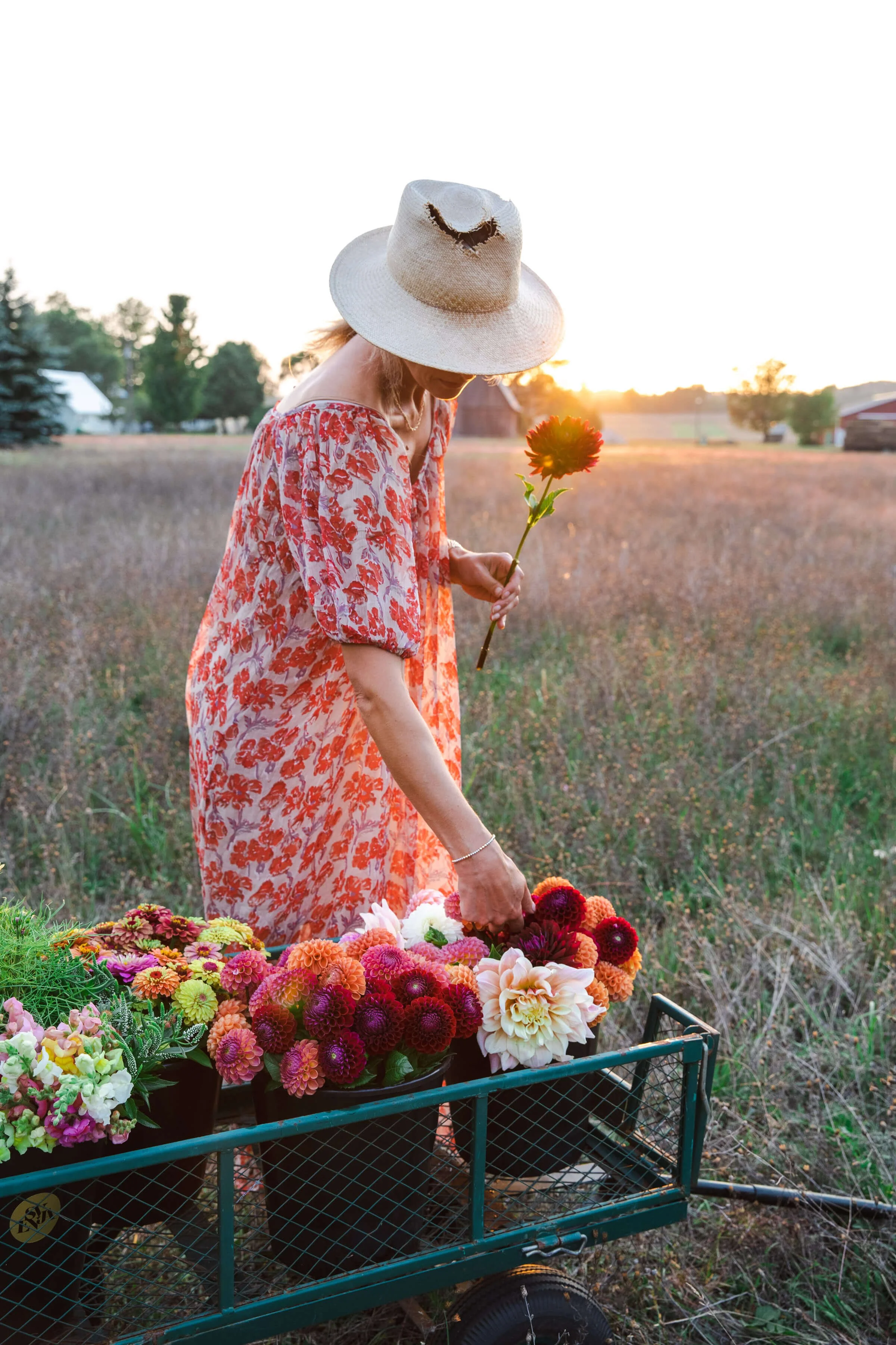 cart full of farm flowers Traverse city.jpeg