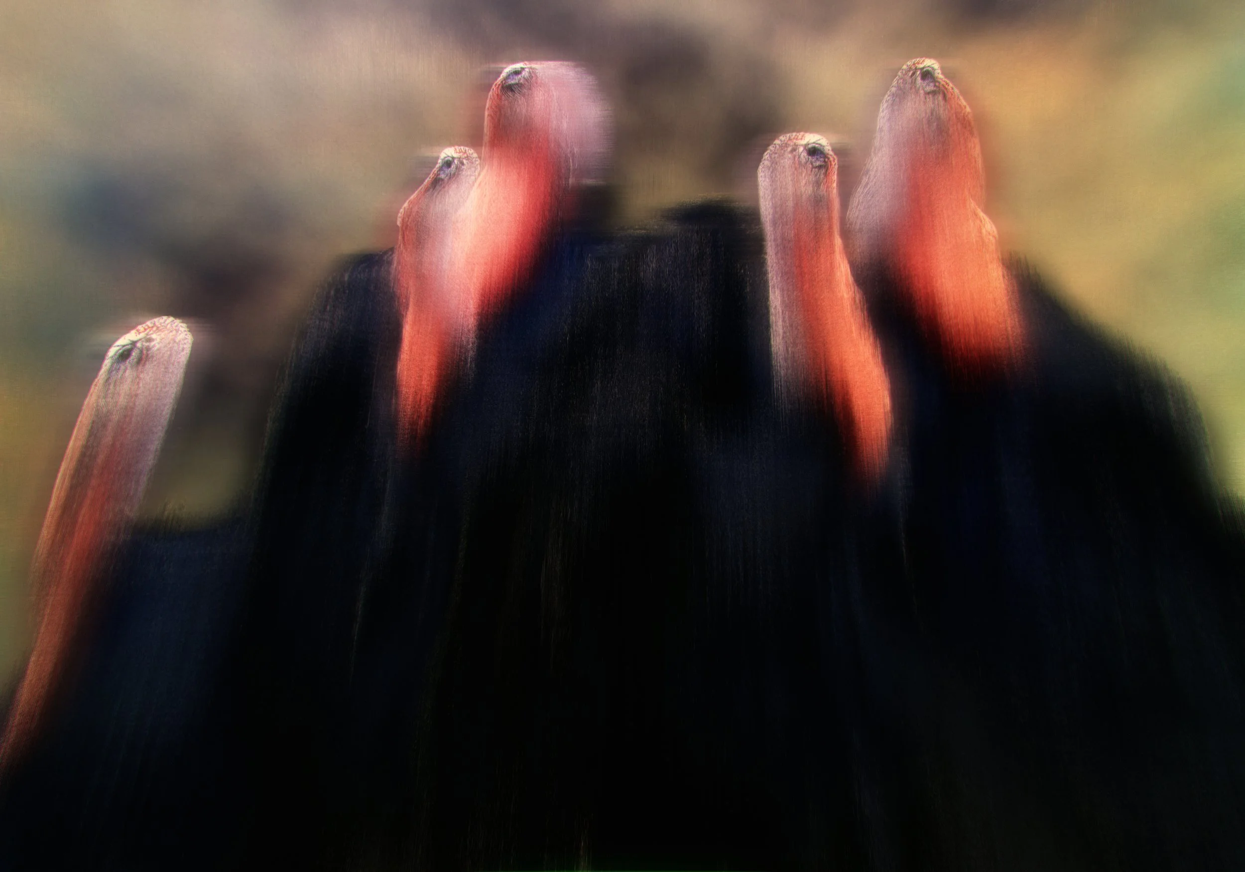 Last Dance Artwork by Oscar Enderstein.