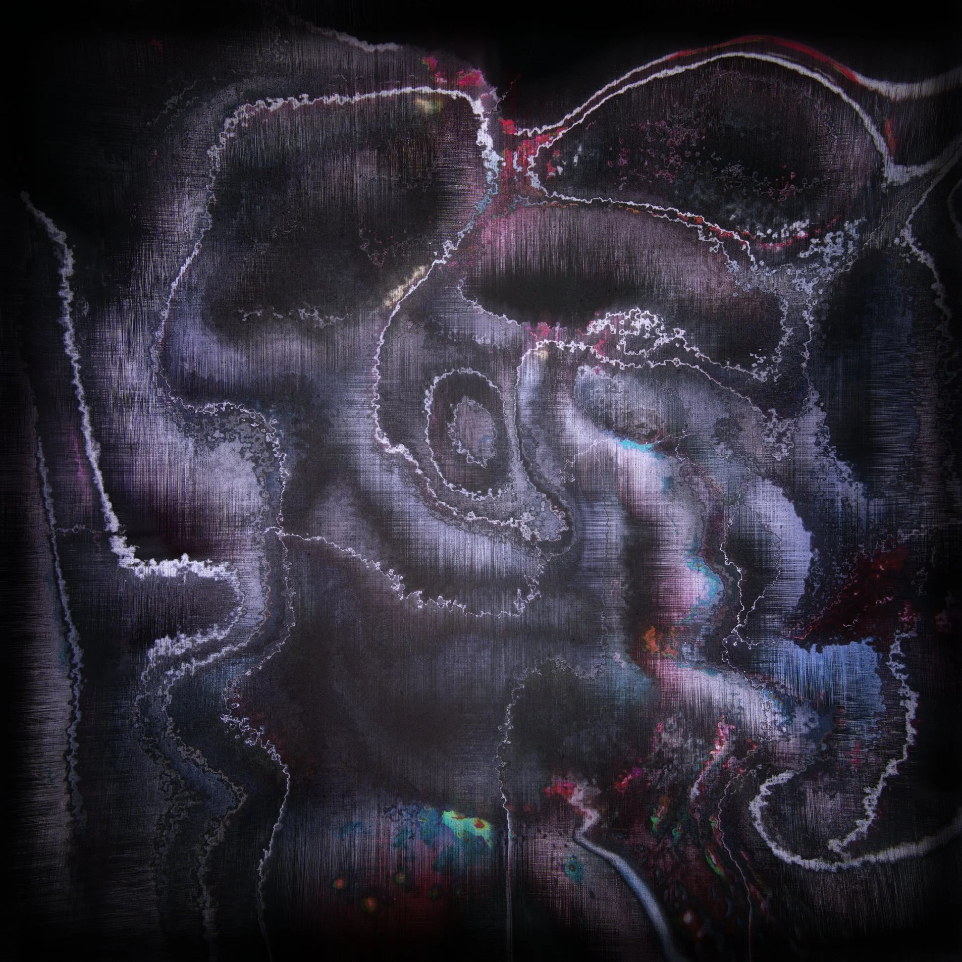 cranberry KLAR Q.jpg