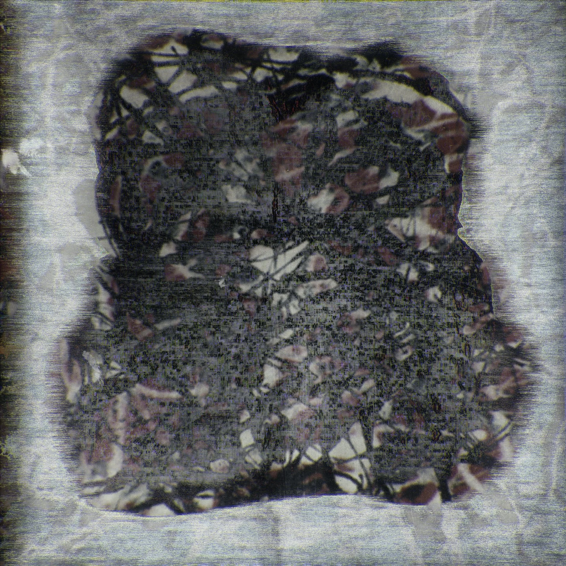 Untitlted (Toast) KLAR analog q.jpg