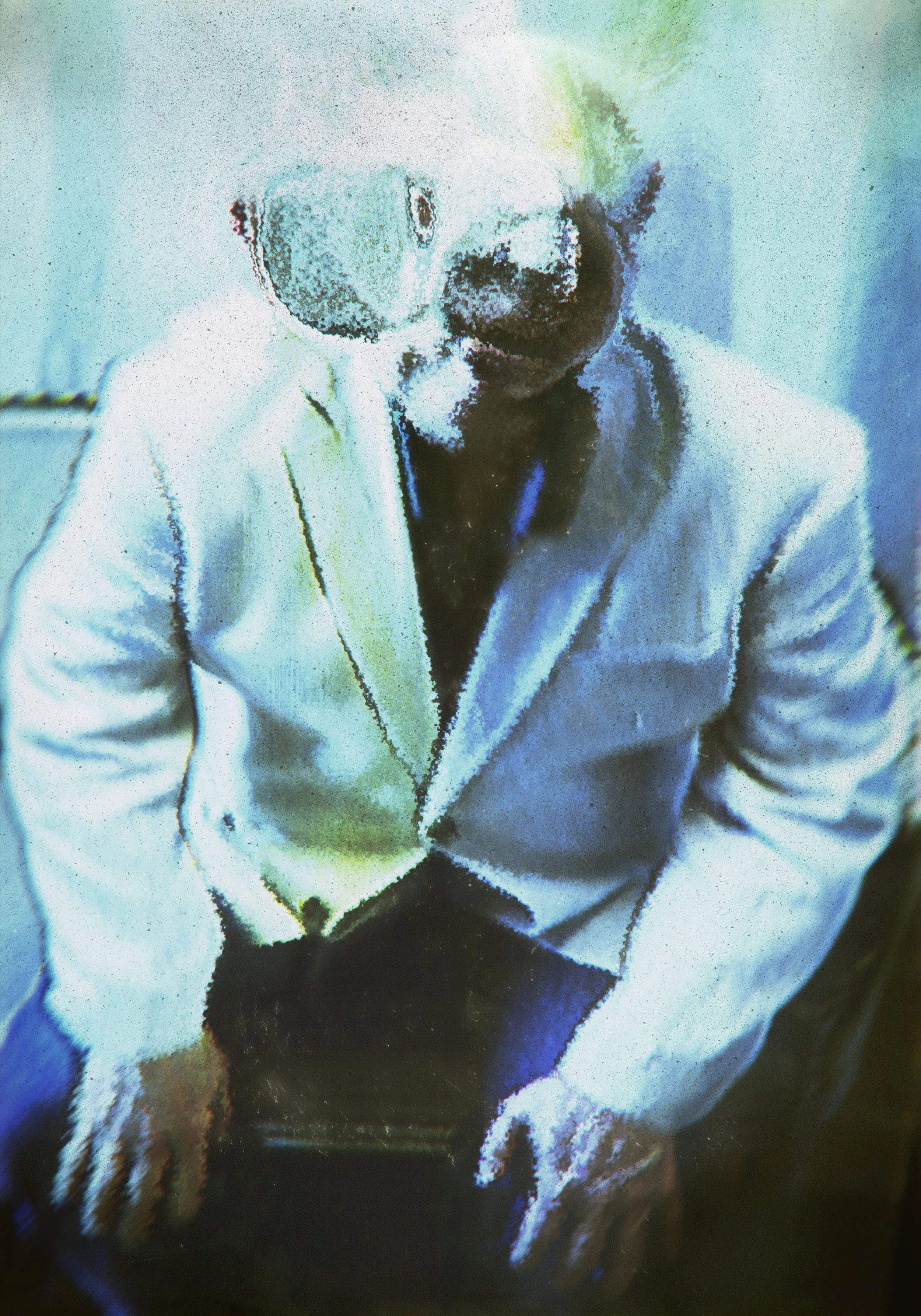 father teleciozn bird KLAR Q .jpg