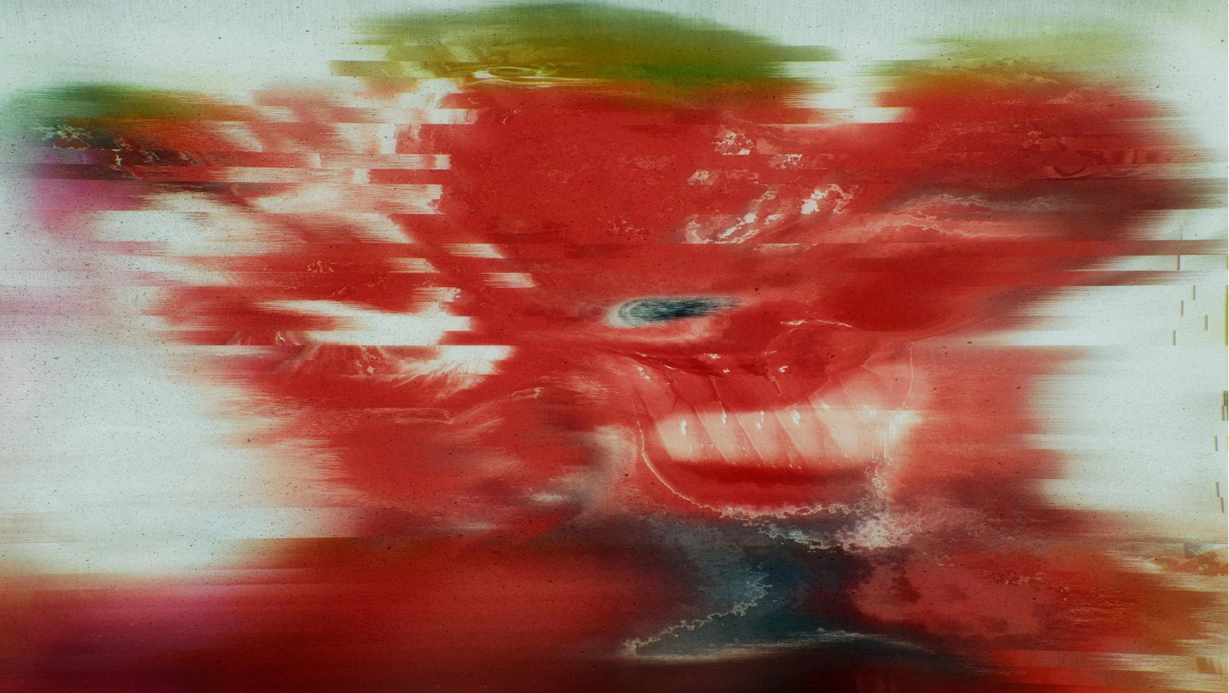 In the transfiguration between Michael and the werewolf