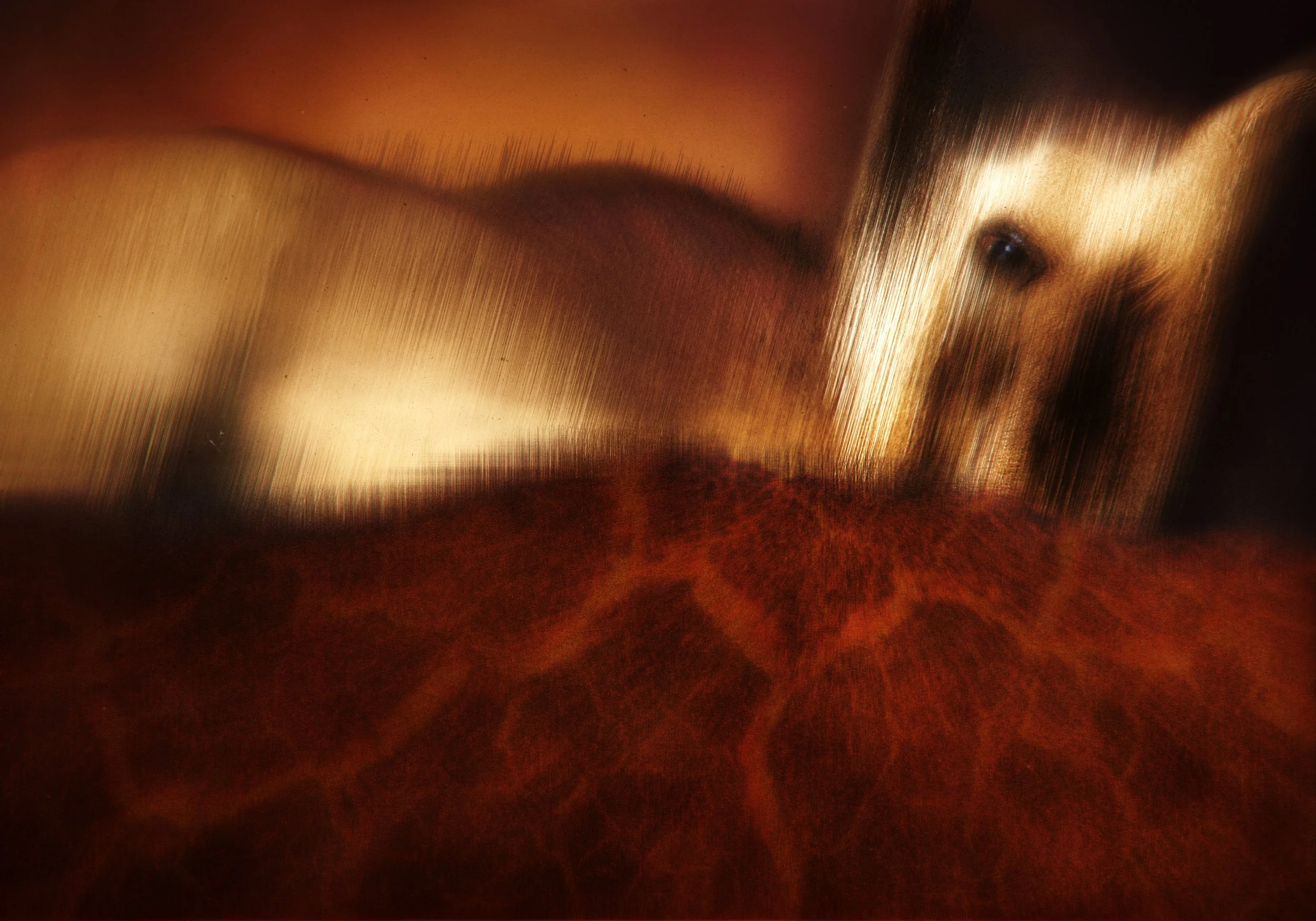 Last Dance Artwork by Oscar Enderstein.