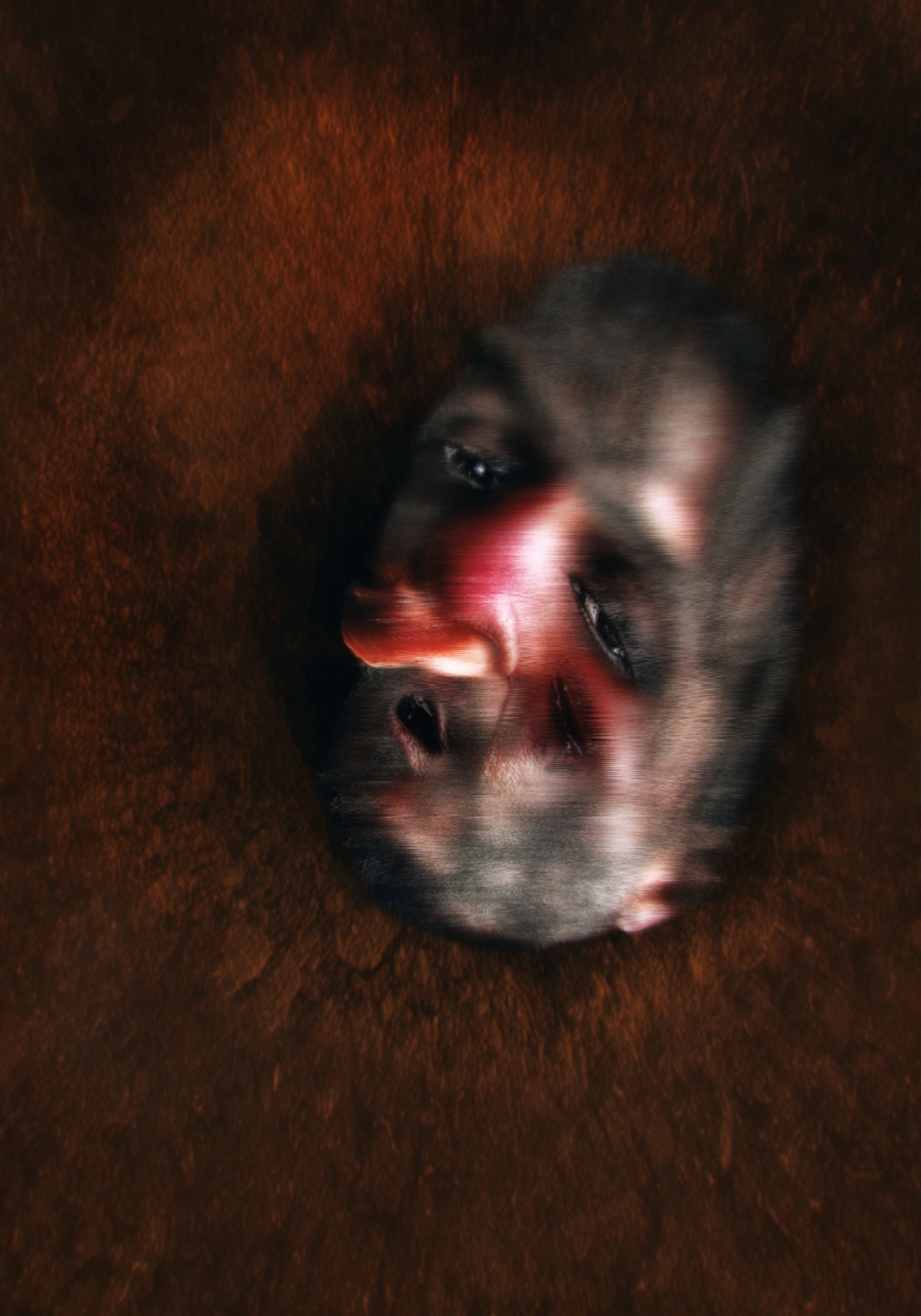 Last Dance Artwork by Oscar Enderstein.