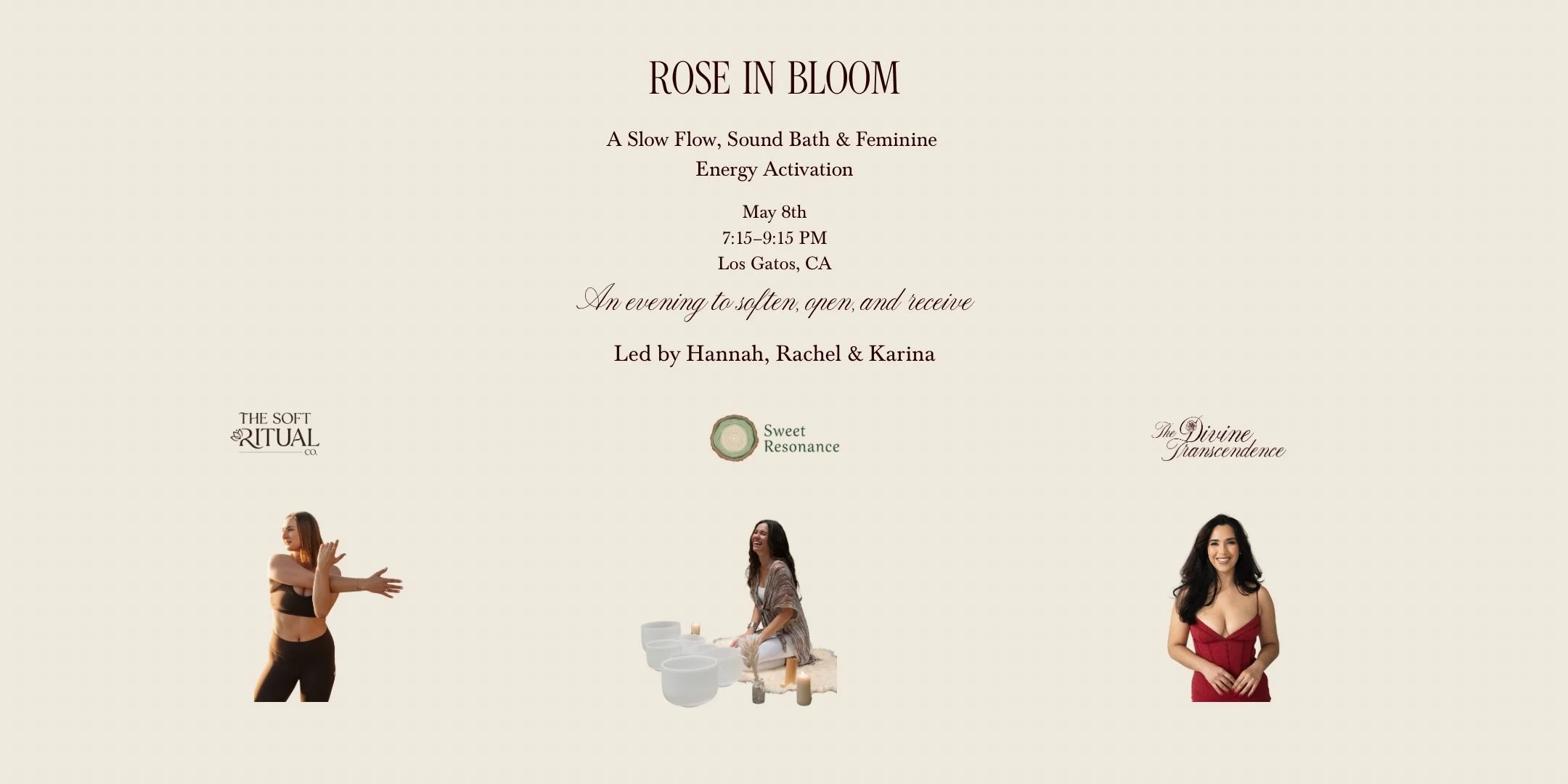 Rose in Bloom